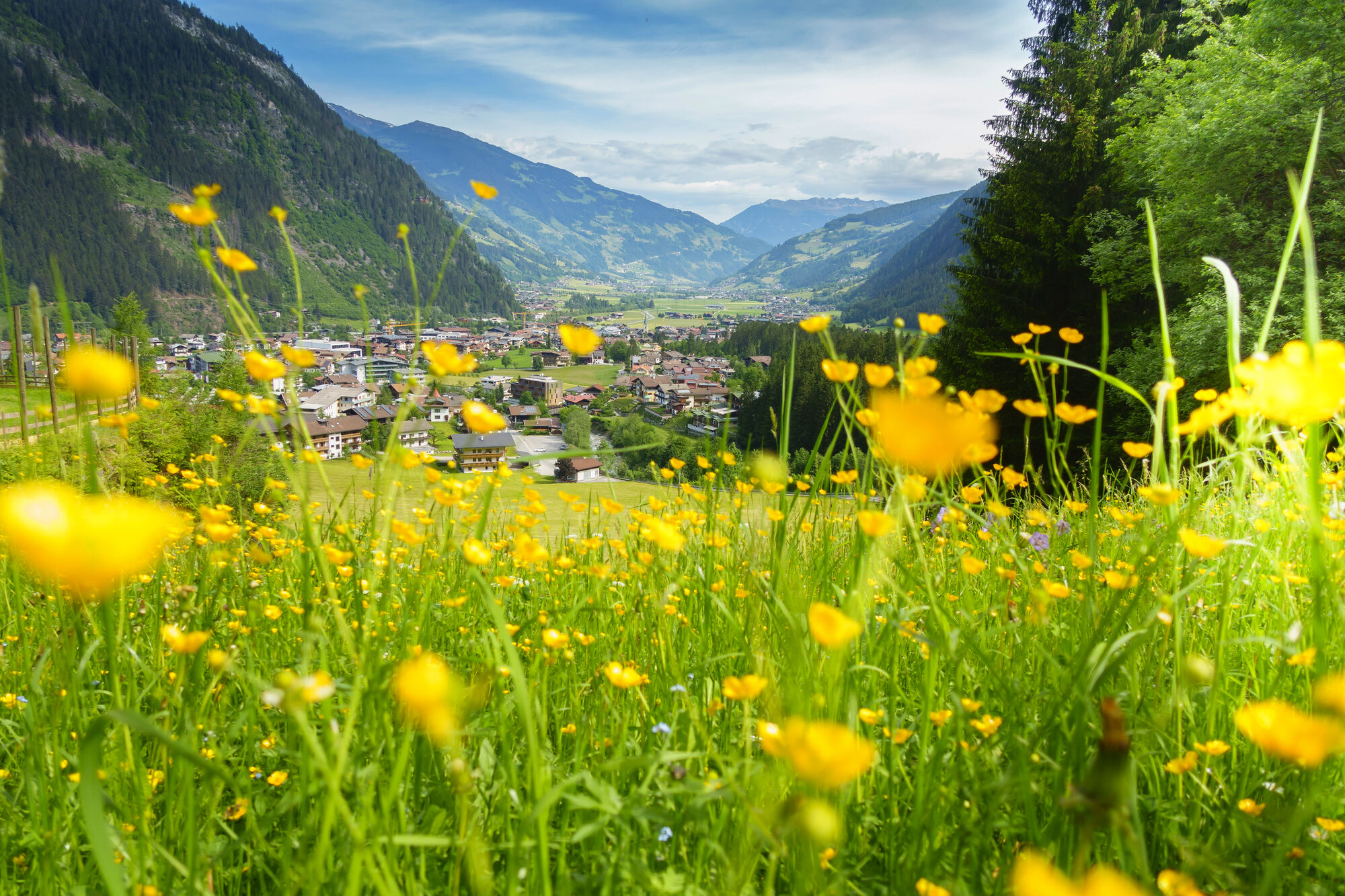Zillertal - Tiroler Land grandios!
