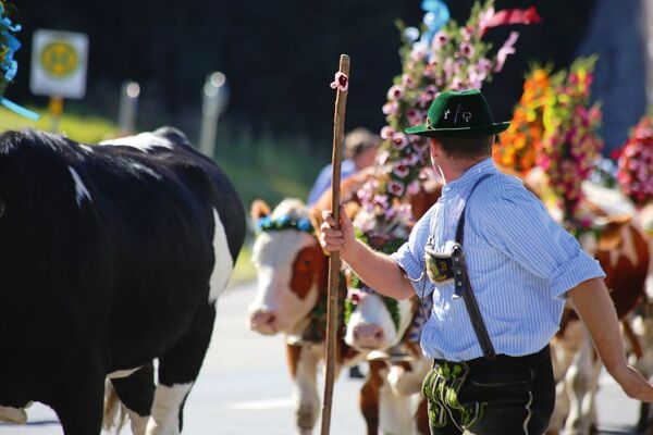 Knödelfest in St. Johann