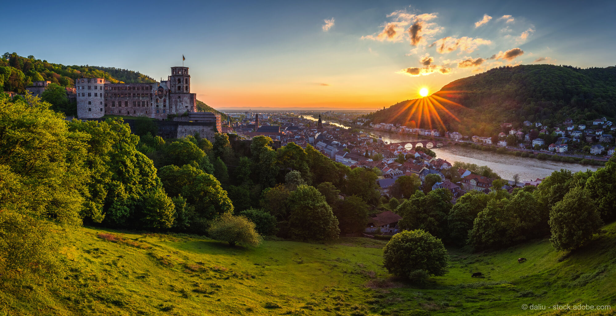 Radvergnügen am Neckar