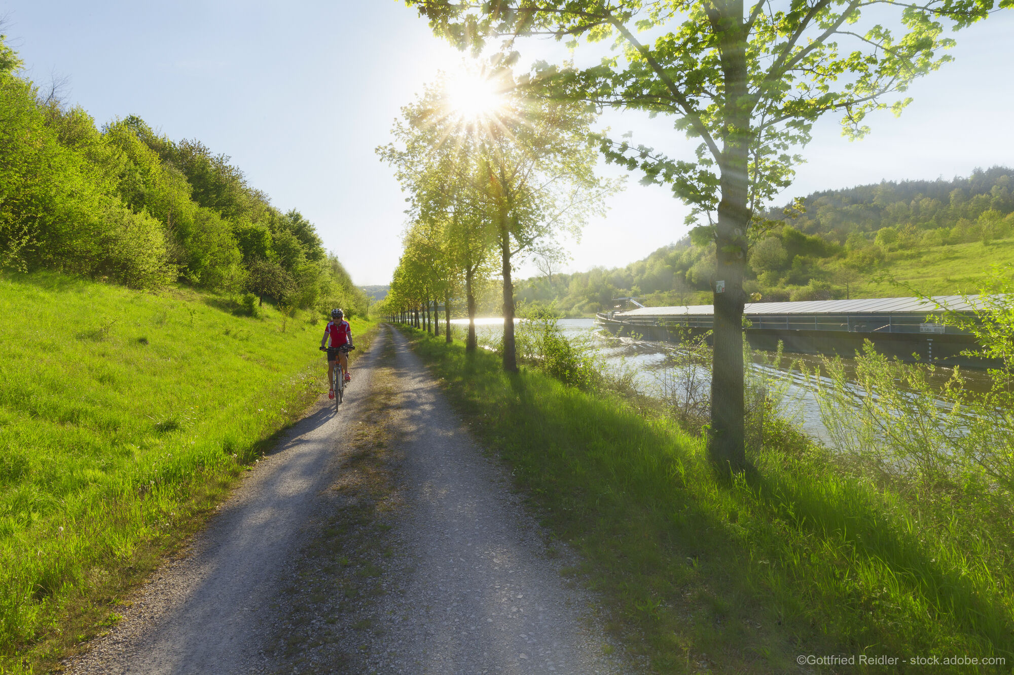 By Bike and Ship: Bamberg - Regensburg