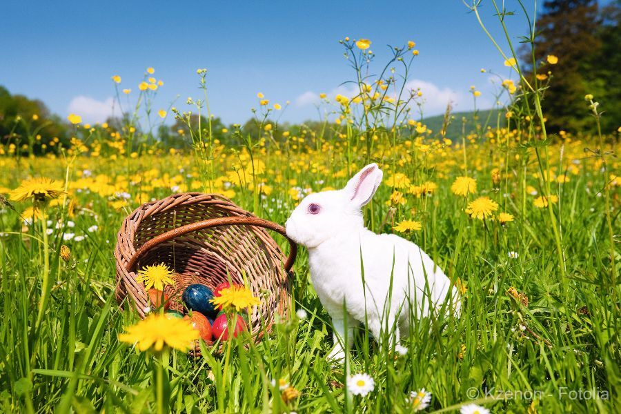 Easter at Wilden Kaiser