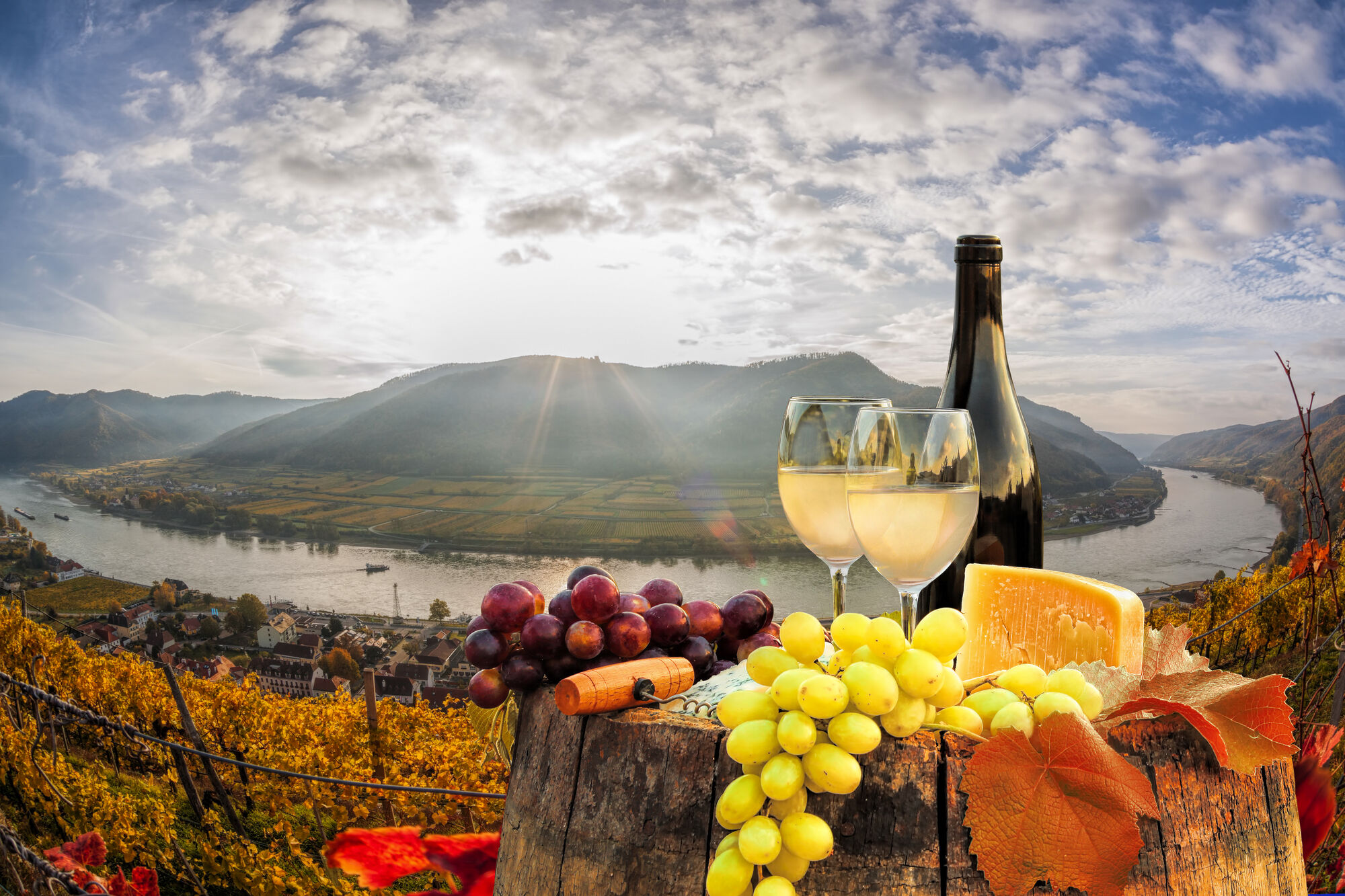 Weinherbst in der Wachau