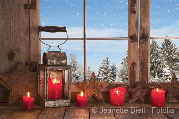 Forest Christmas in the Bavarian Forest