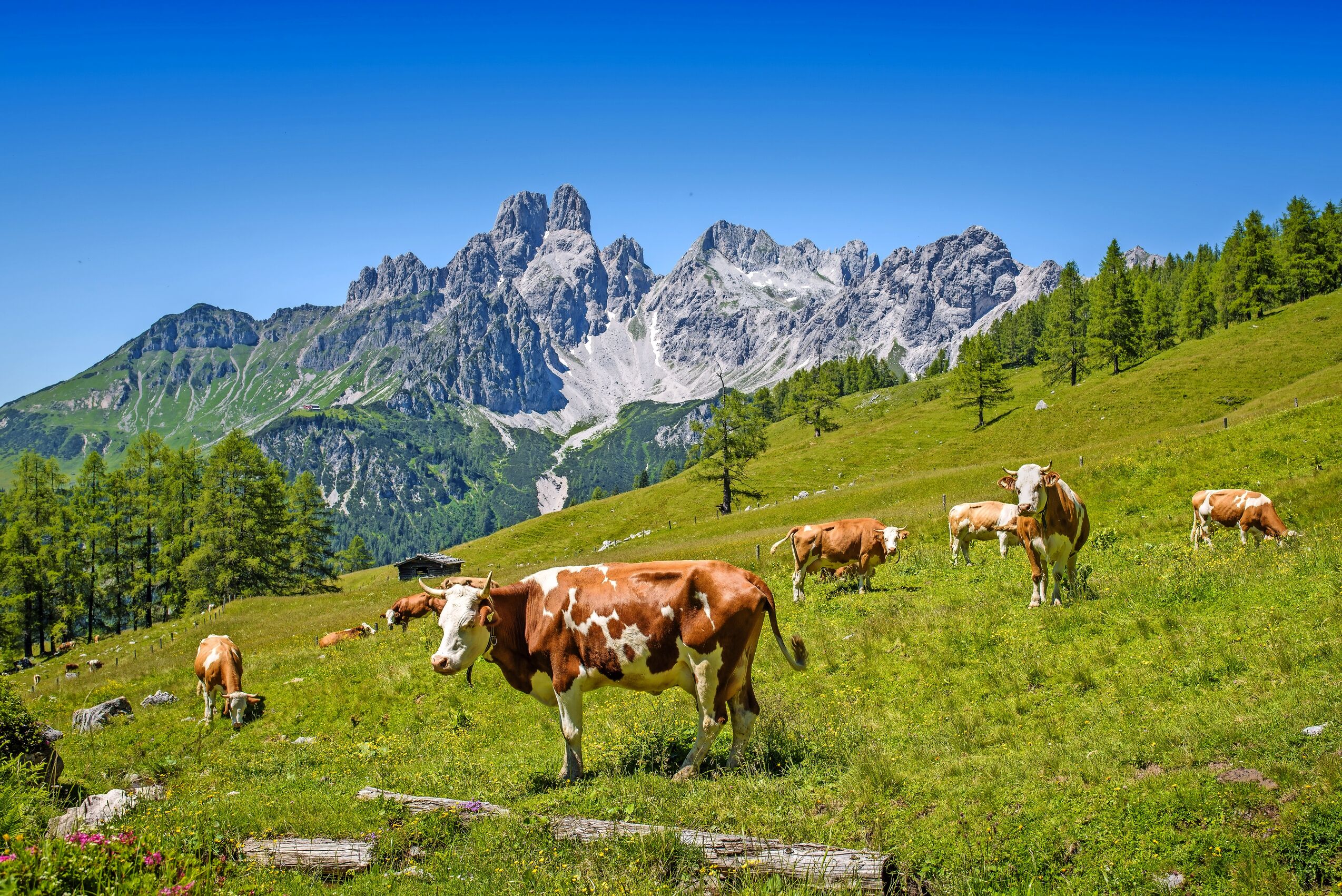 Schladming am Dachstein
