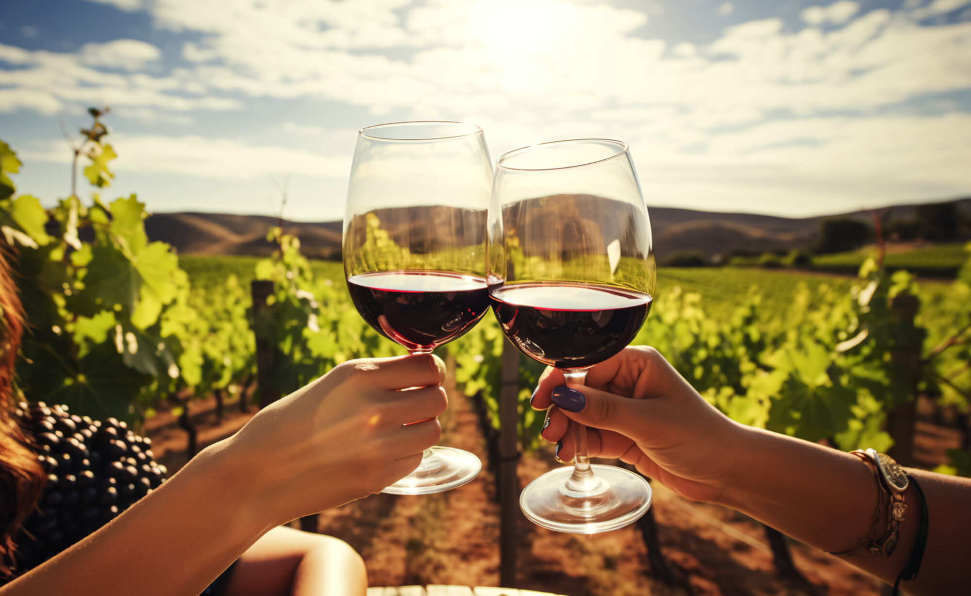 Beaujolais Fest