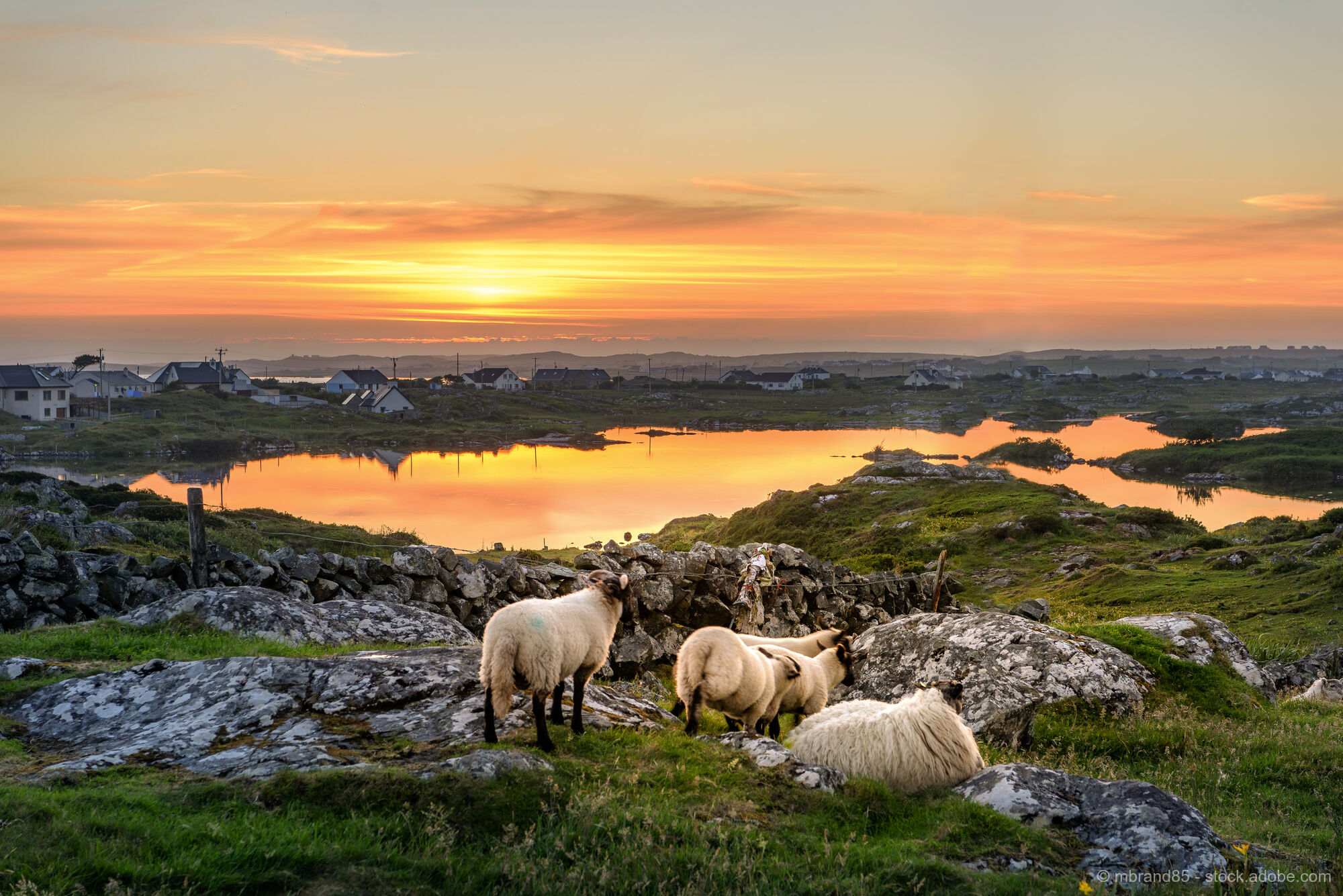 Irland - Grüne Insel