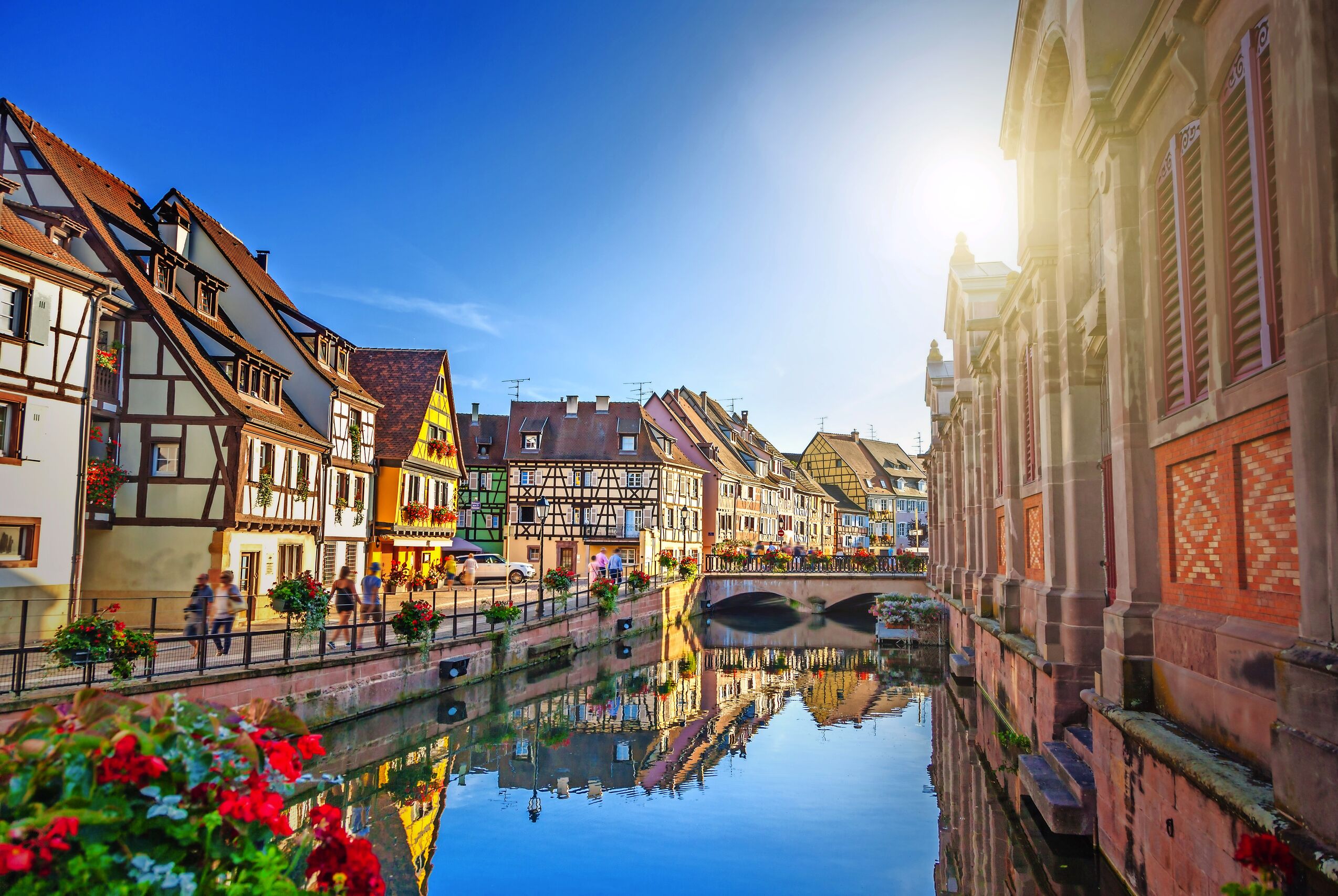 Alsace and Black Forest