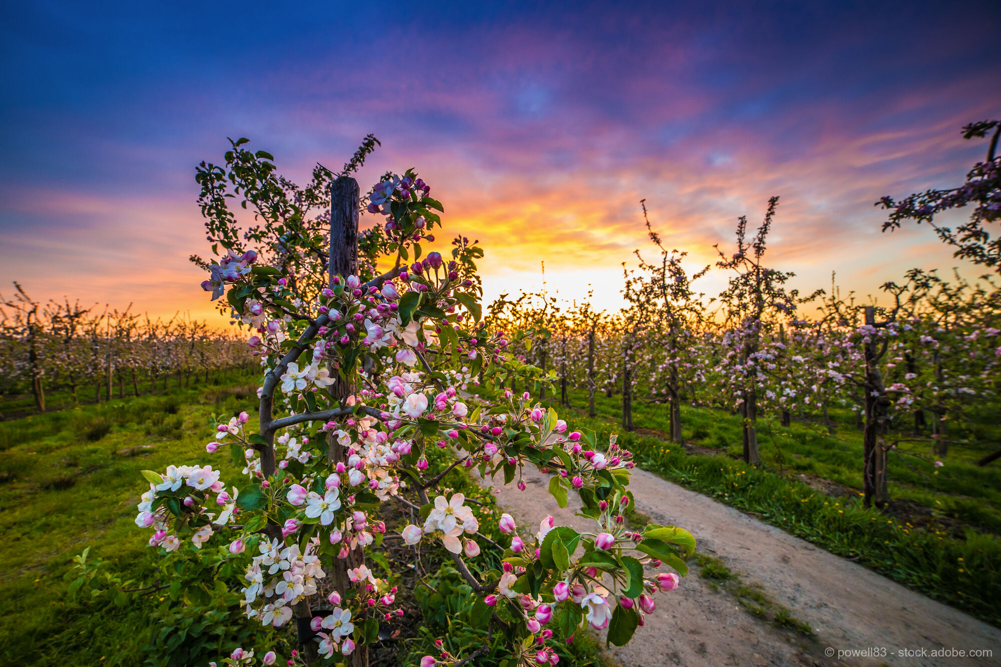 Spring in the Old Land