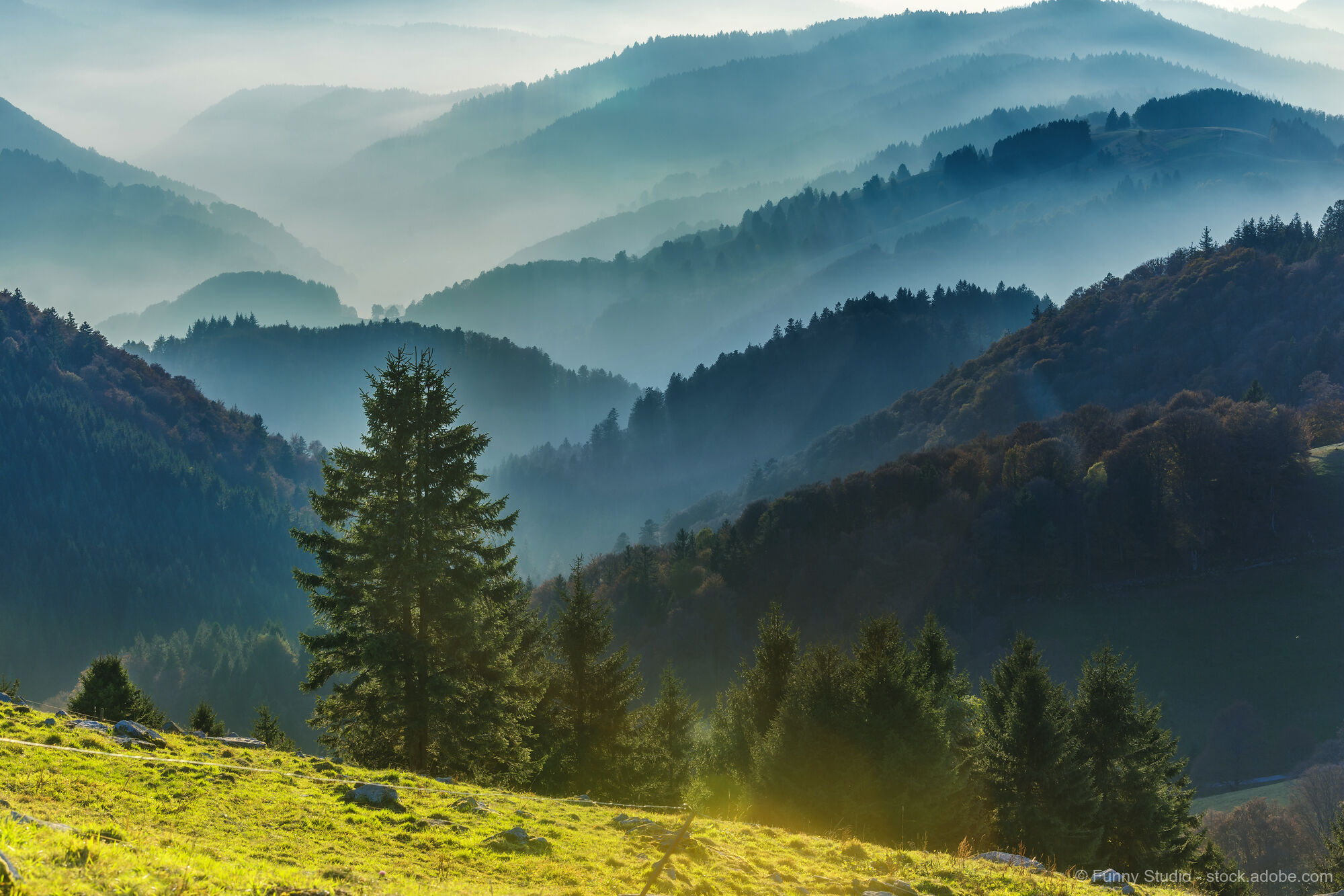 Schwarzwald - ein Paradies für Wanderer