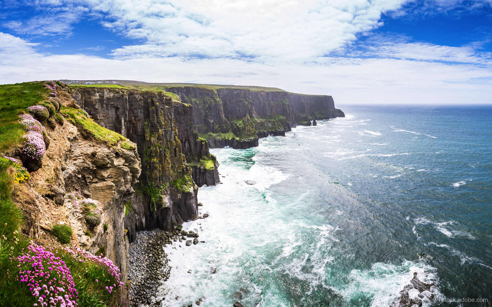 Wildes Irland