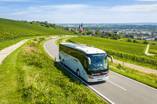 Bus