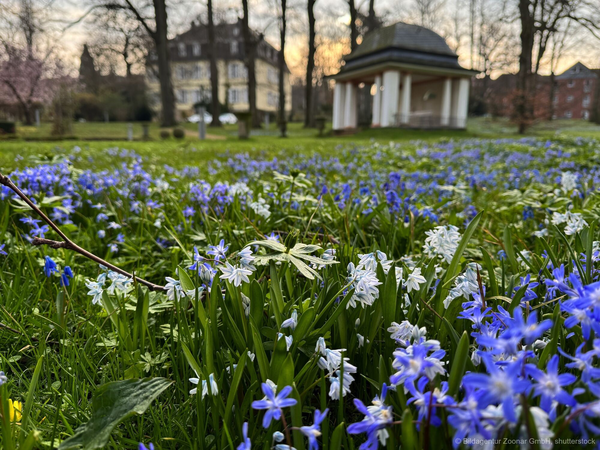 Hannover umrahmt von Blumenpracht