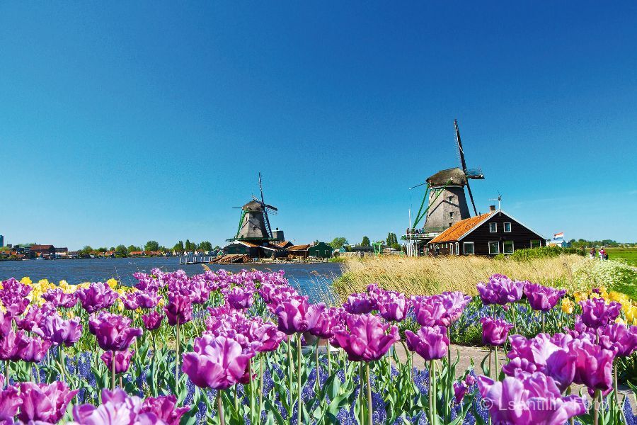 Holland, Flandern und Ardennen