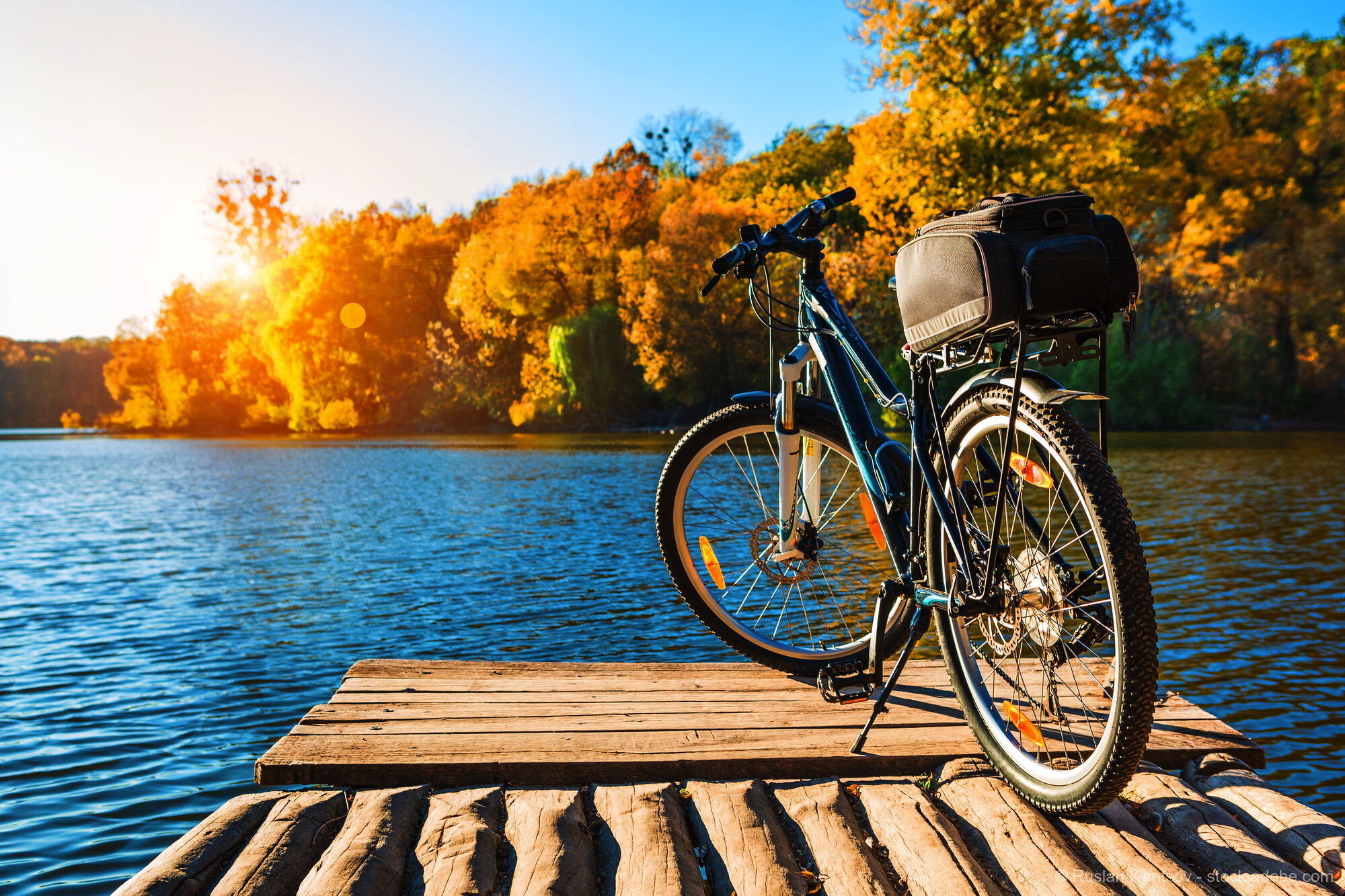 By Bike and Ship: Bamberg - Regensburg