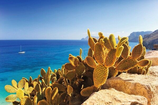 Costa del Sol (FLUG)
