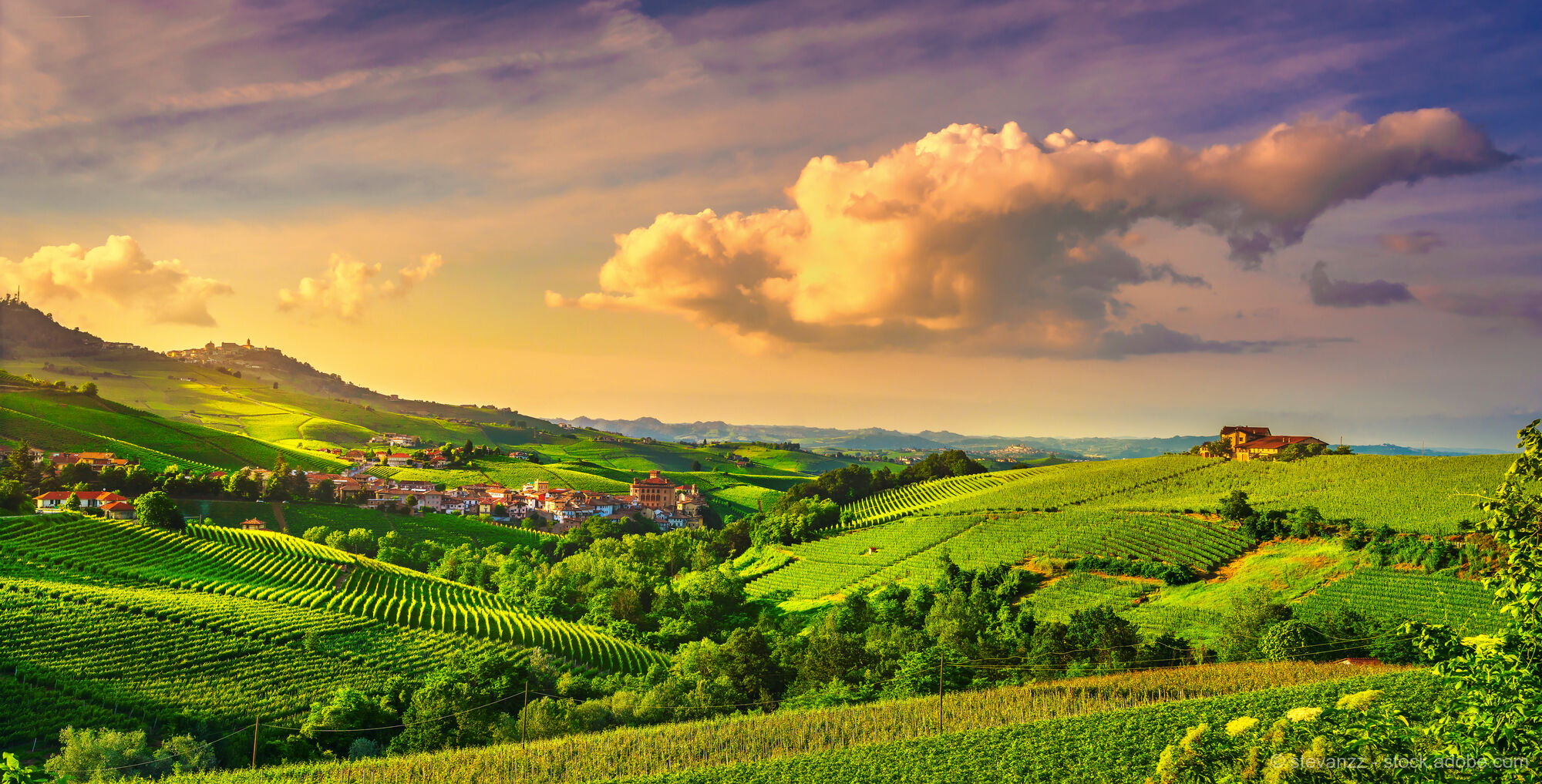 Piemont - "Wein & Trüffel"