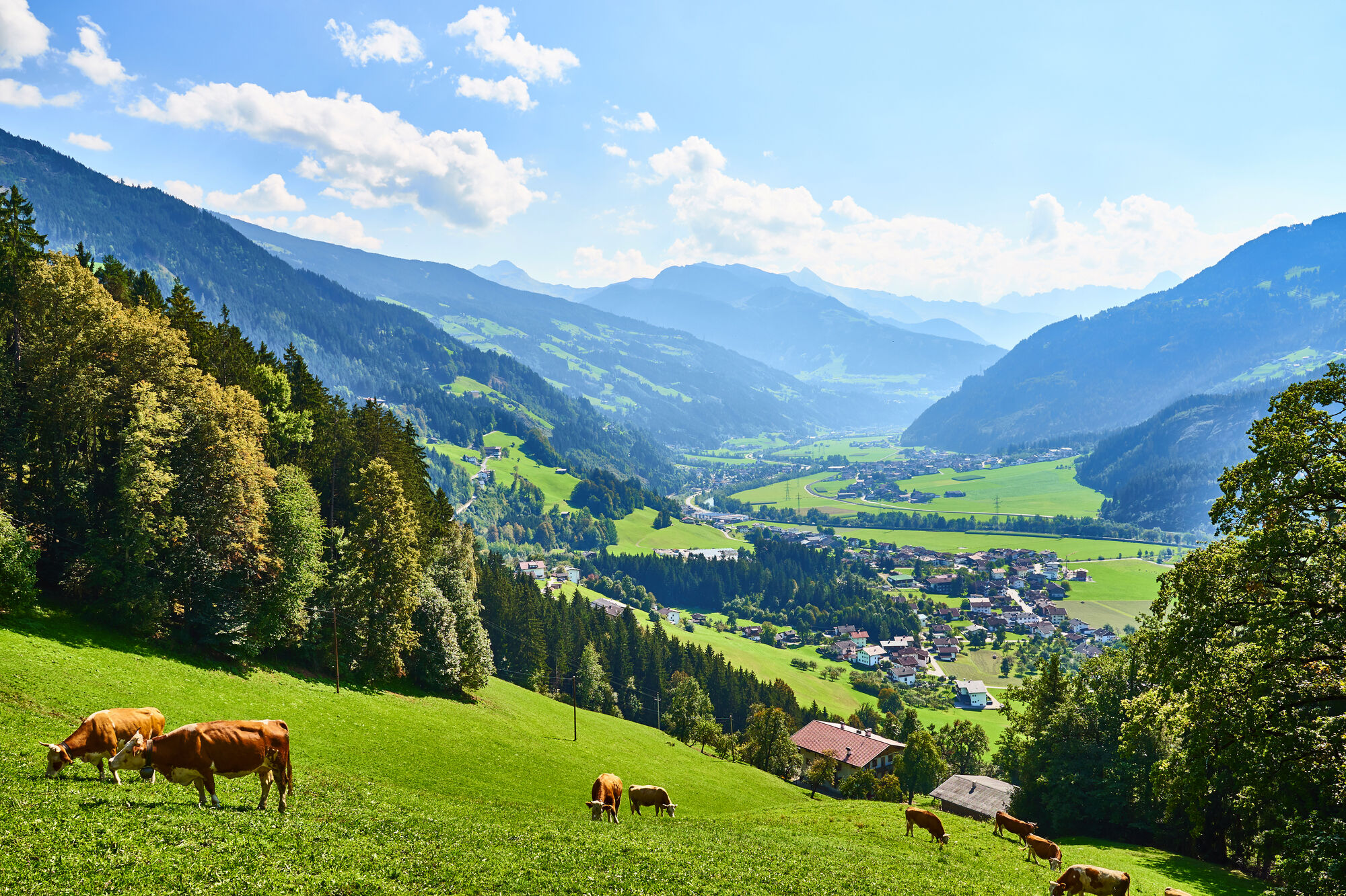 Zillertal - Tiroler Land grandios!