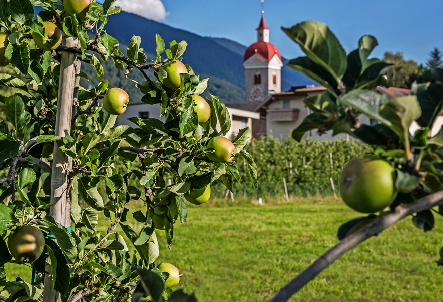 Apfelblüte und königliches Festival in Südtirol