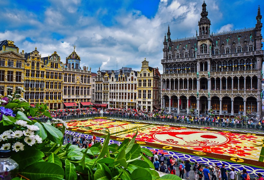 Brüsseler Blumenteppich