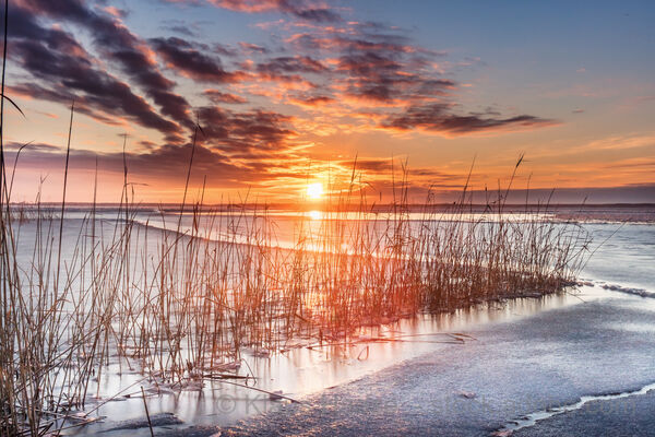 Saisonabschlussreise an die Ostsee