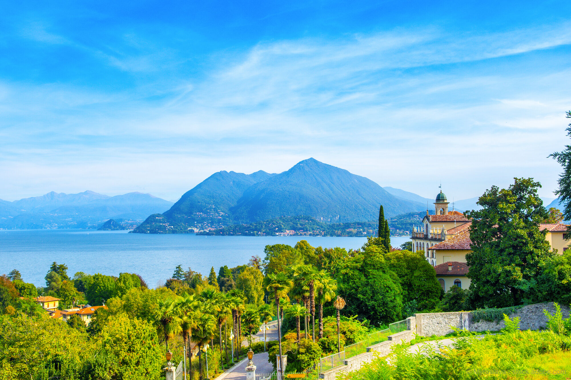 Camellia Blossom at Lake Maggiore