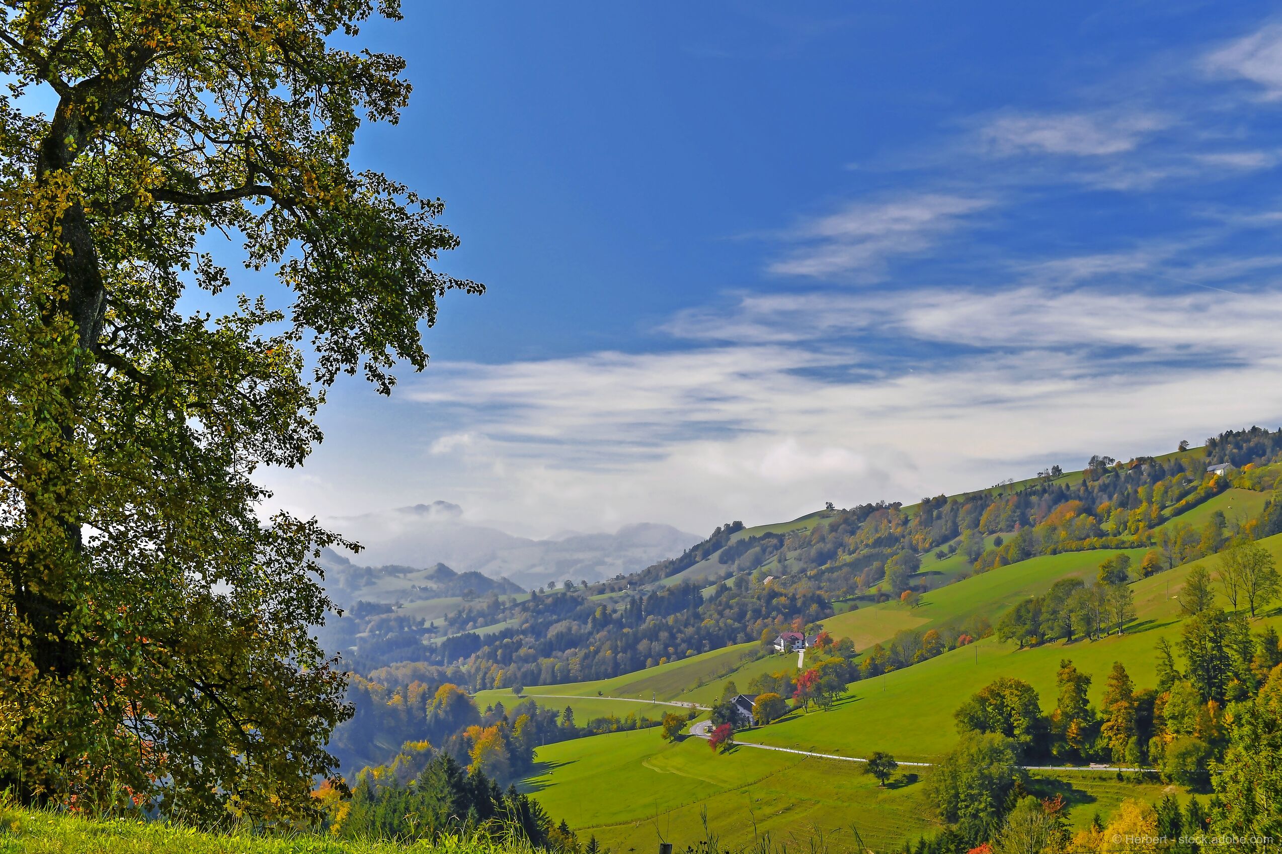 Cycling Delight in Dirndltal