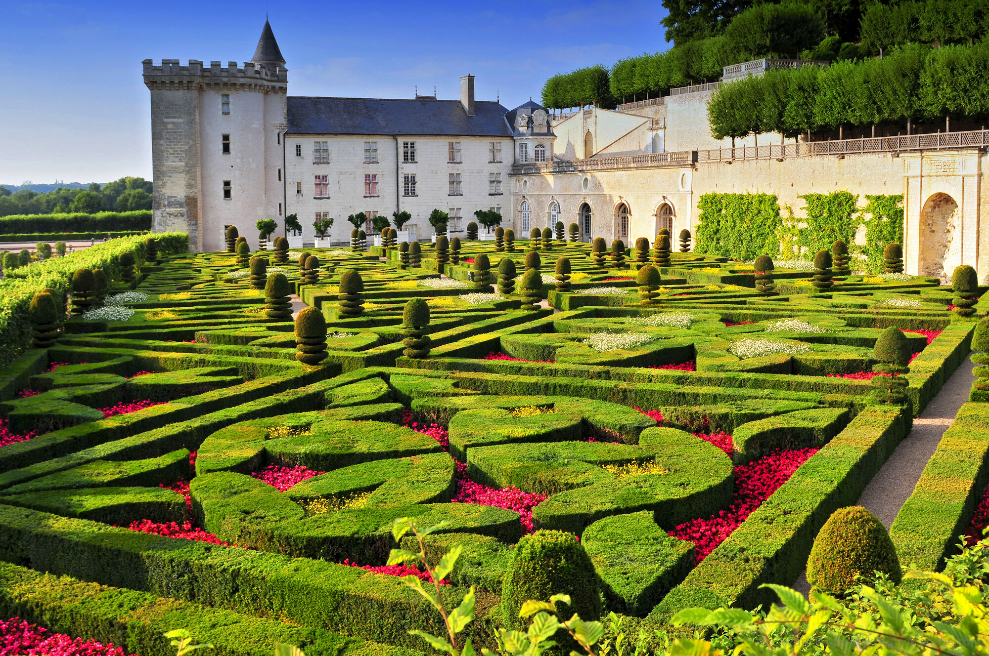The Châteaux of the Loire