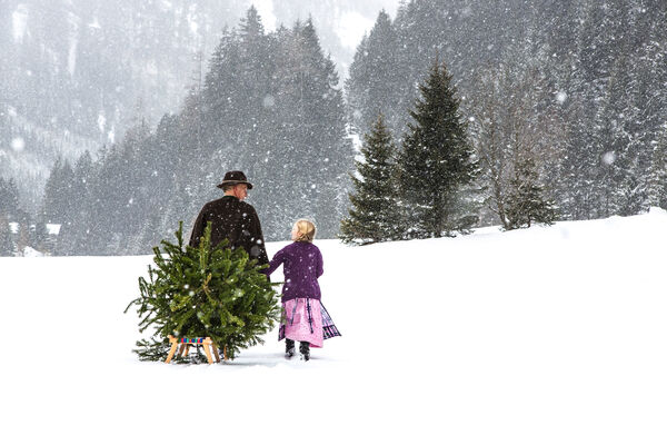 Weihnachtszauber im Salzkammergut