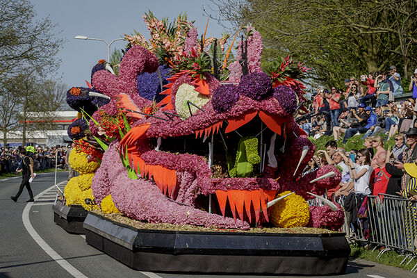 Tulpenblüte Holland/Keukenhof und Blumenkorso