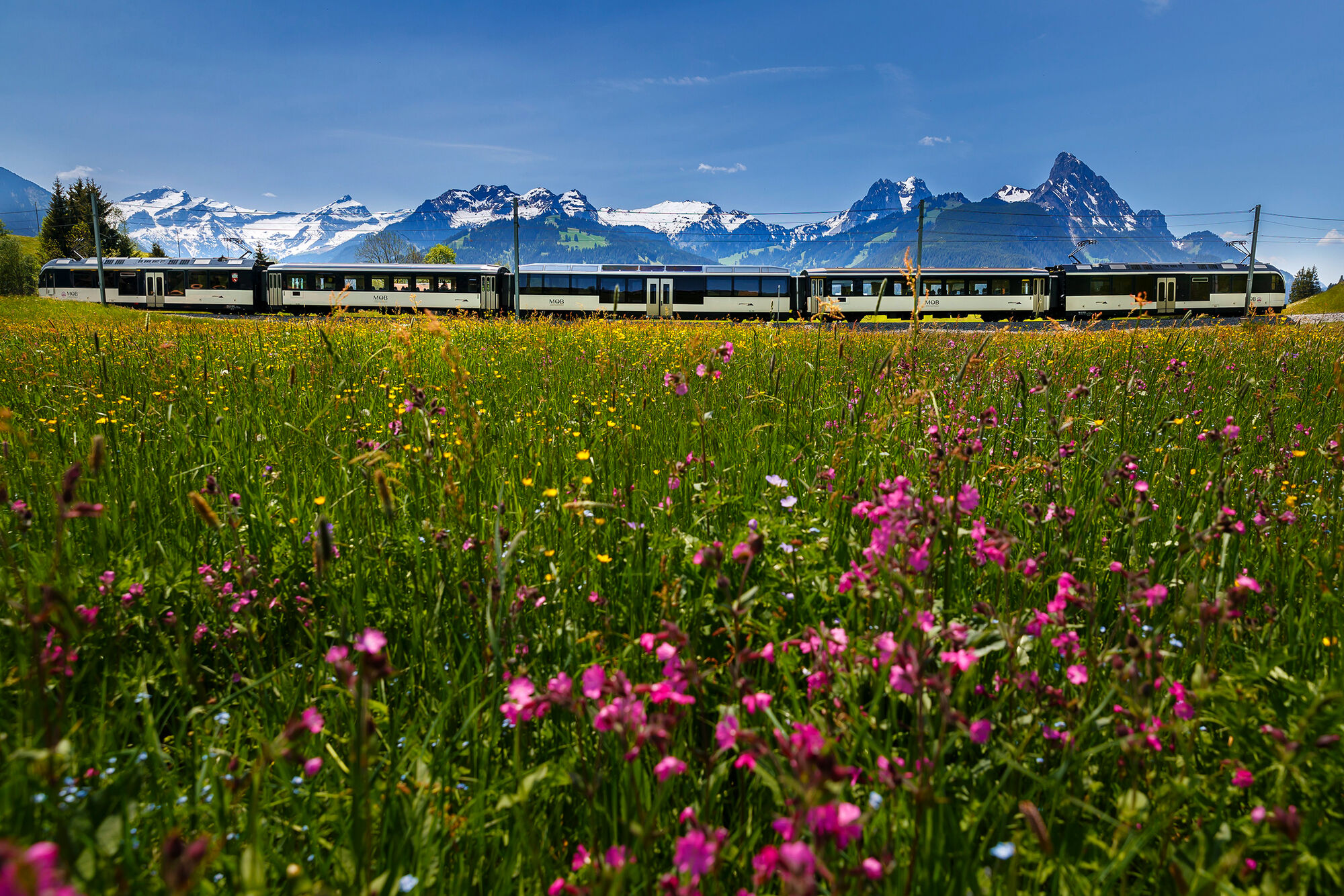 Von den Alpen ans Mittelmeer