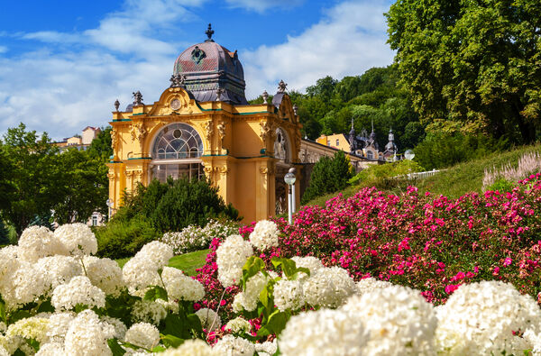 Marienbad - Cures & Relaxation