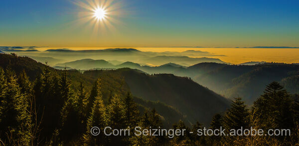 Wohlfühltage im Schwarzwald
