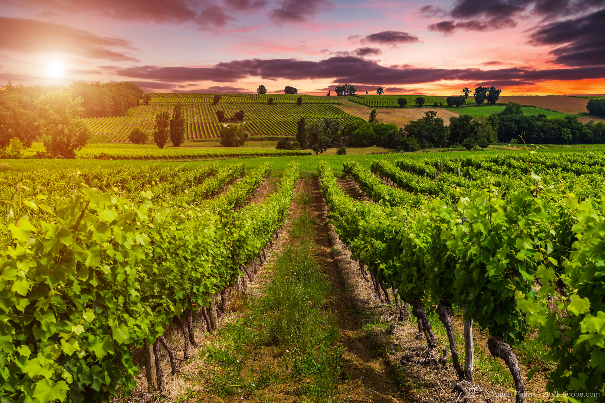 Bordeaux und Südwestfrankreich