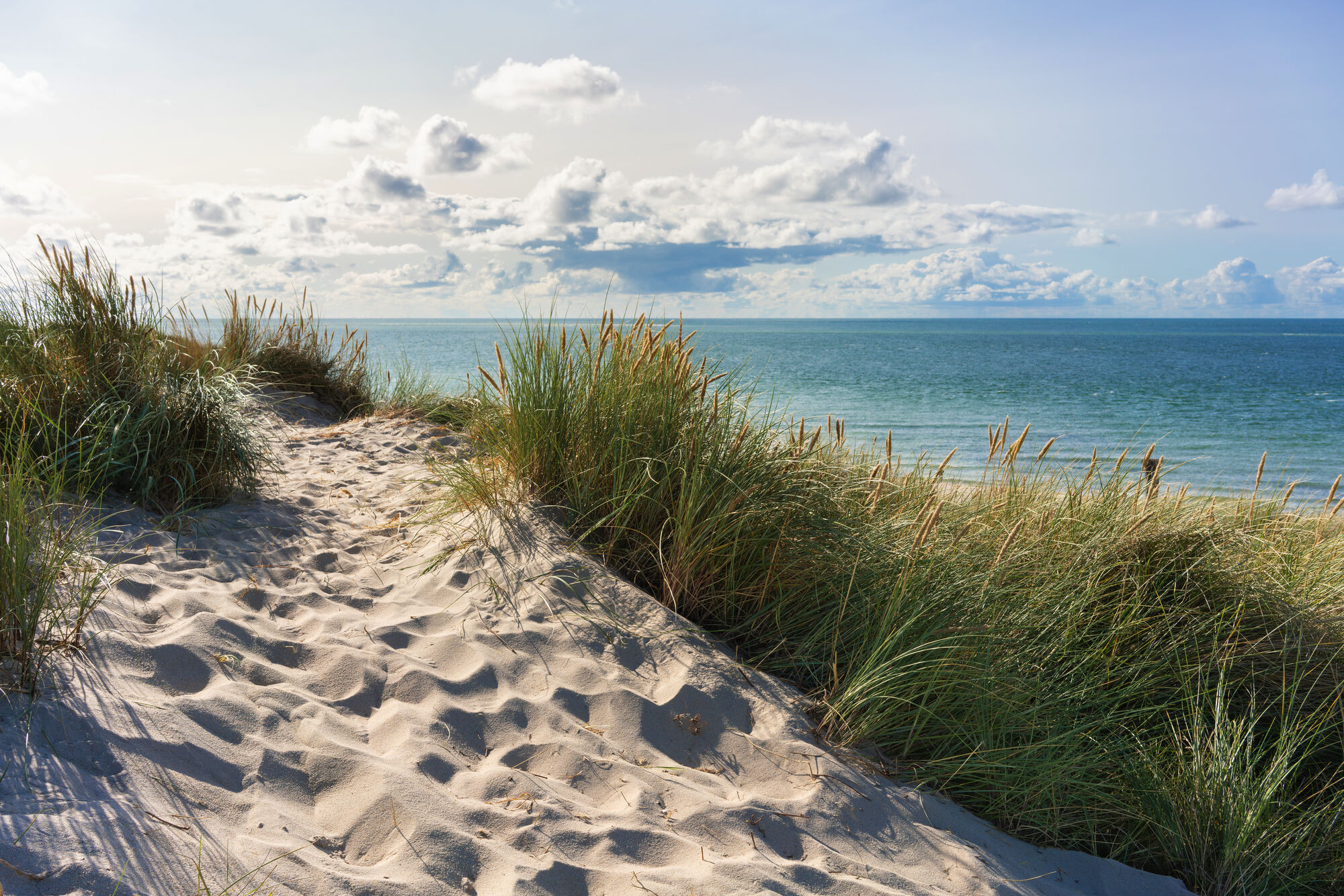 Nordseeluft und Ostseestrand