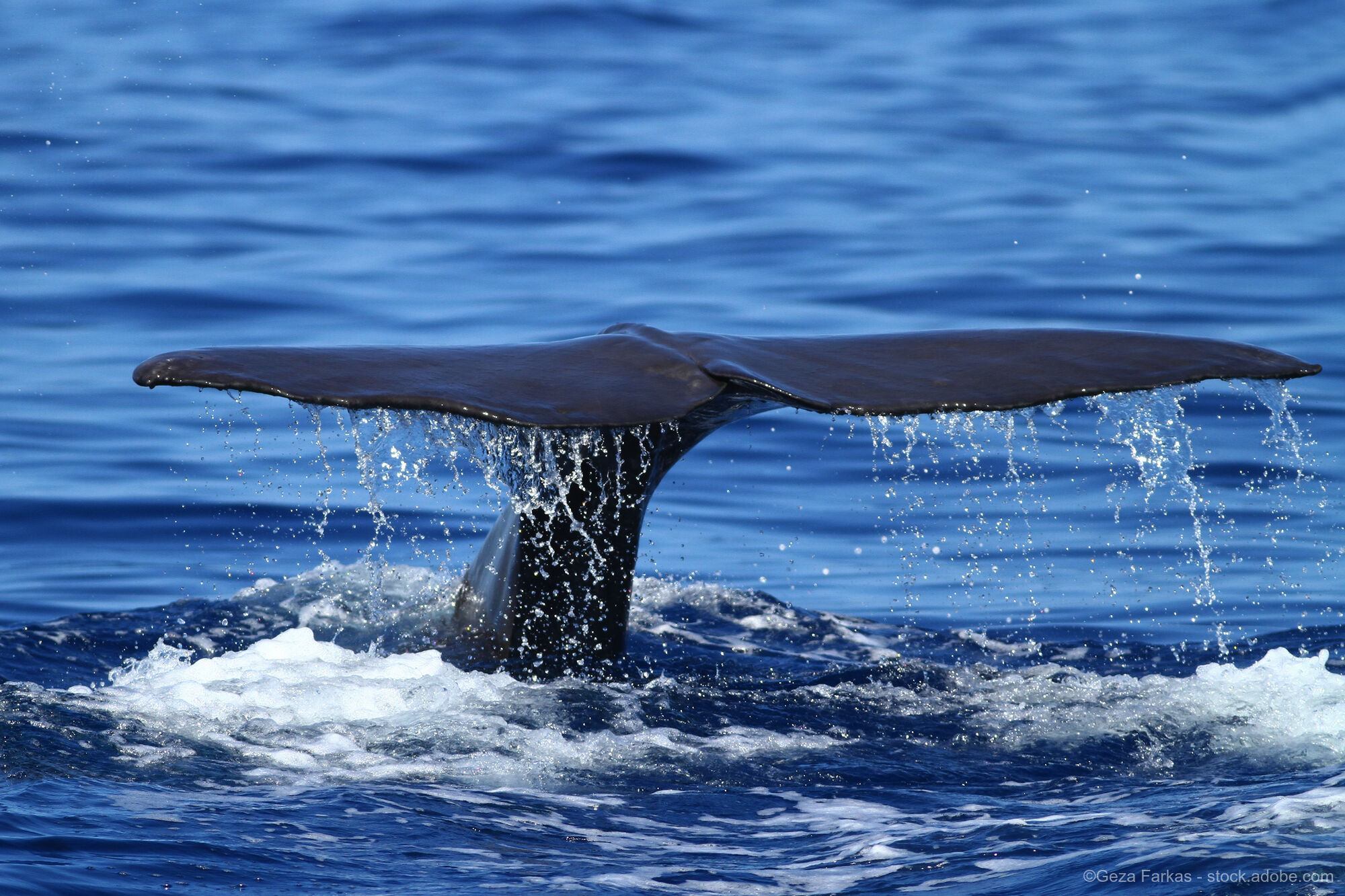 Azores