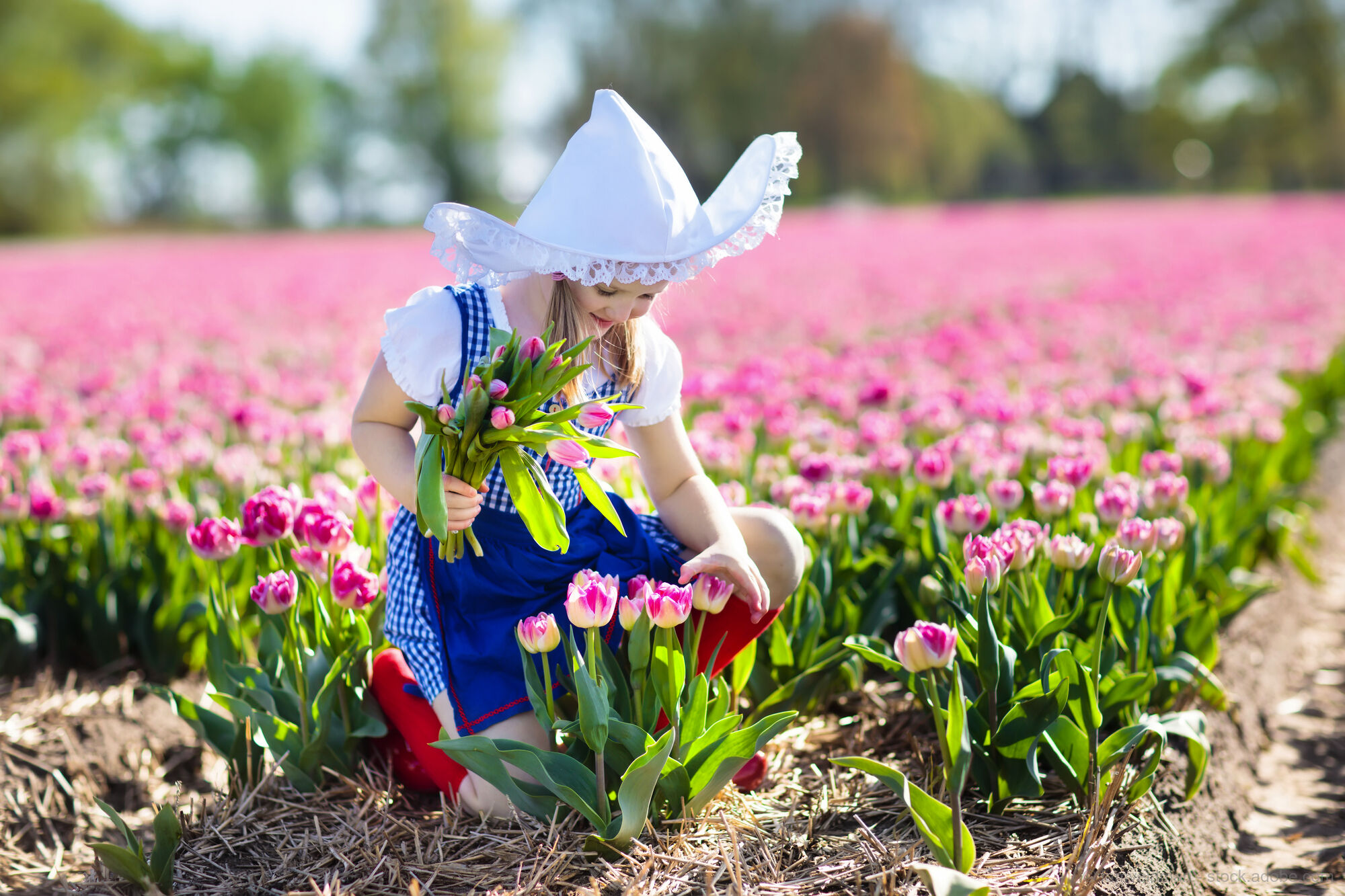 Sea of Tulips and Canal Flair