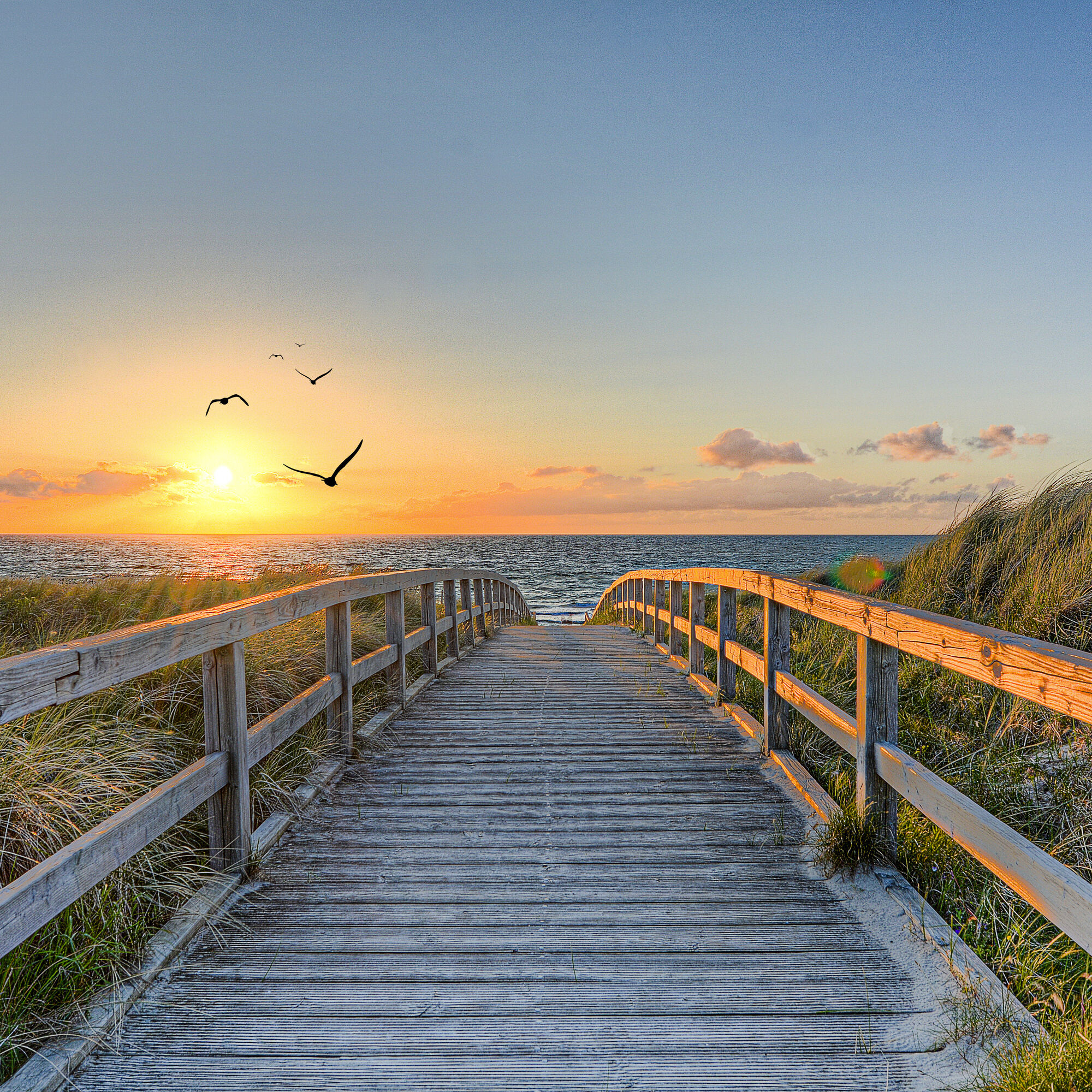Island Magic at the North Sea