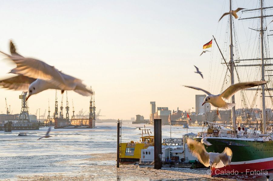 New Year's Kickoff at the Elbphilharmonie