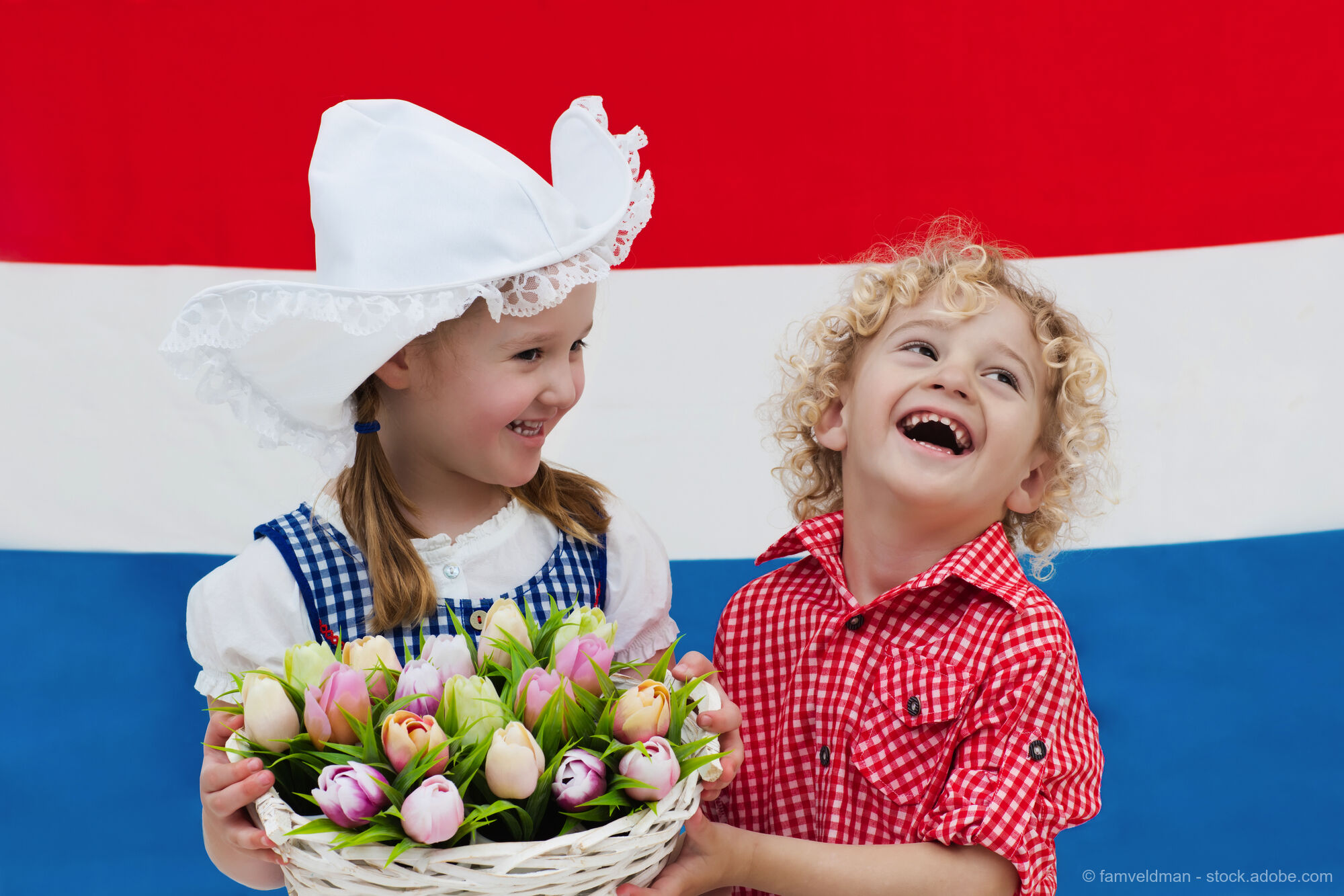 Holland, Flanders and Ardennes