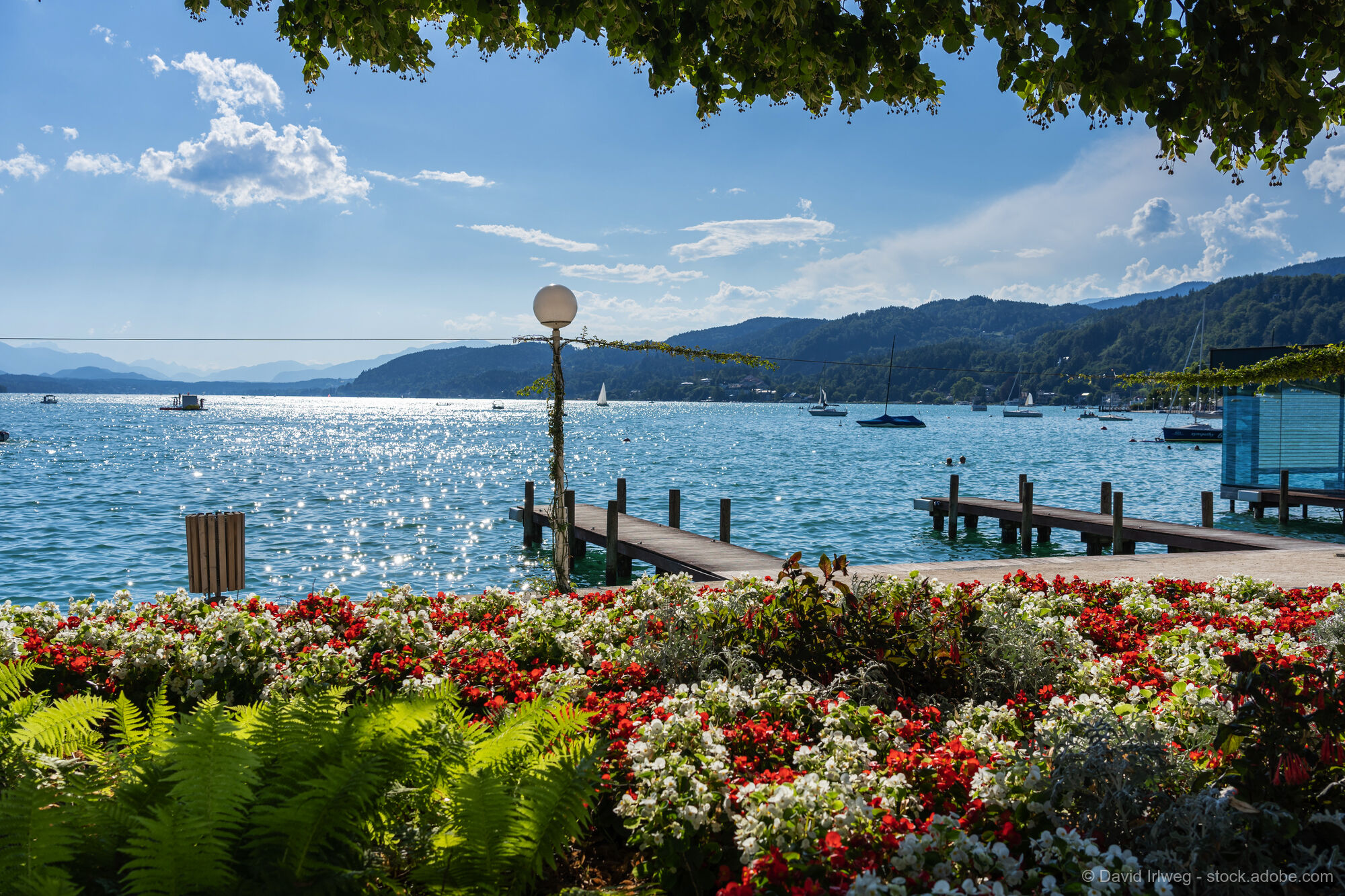 Discover Carinthia by Bike