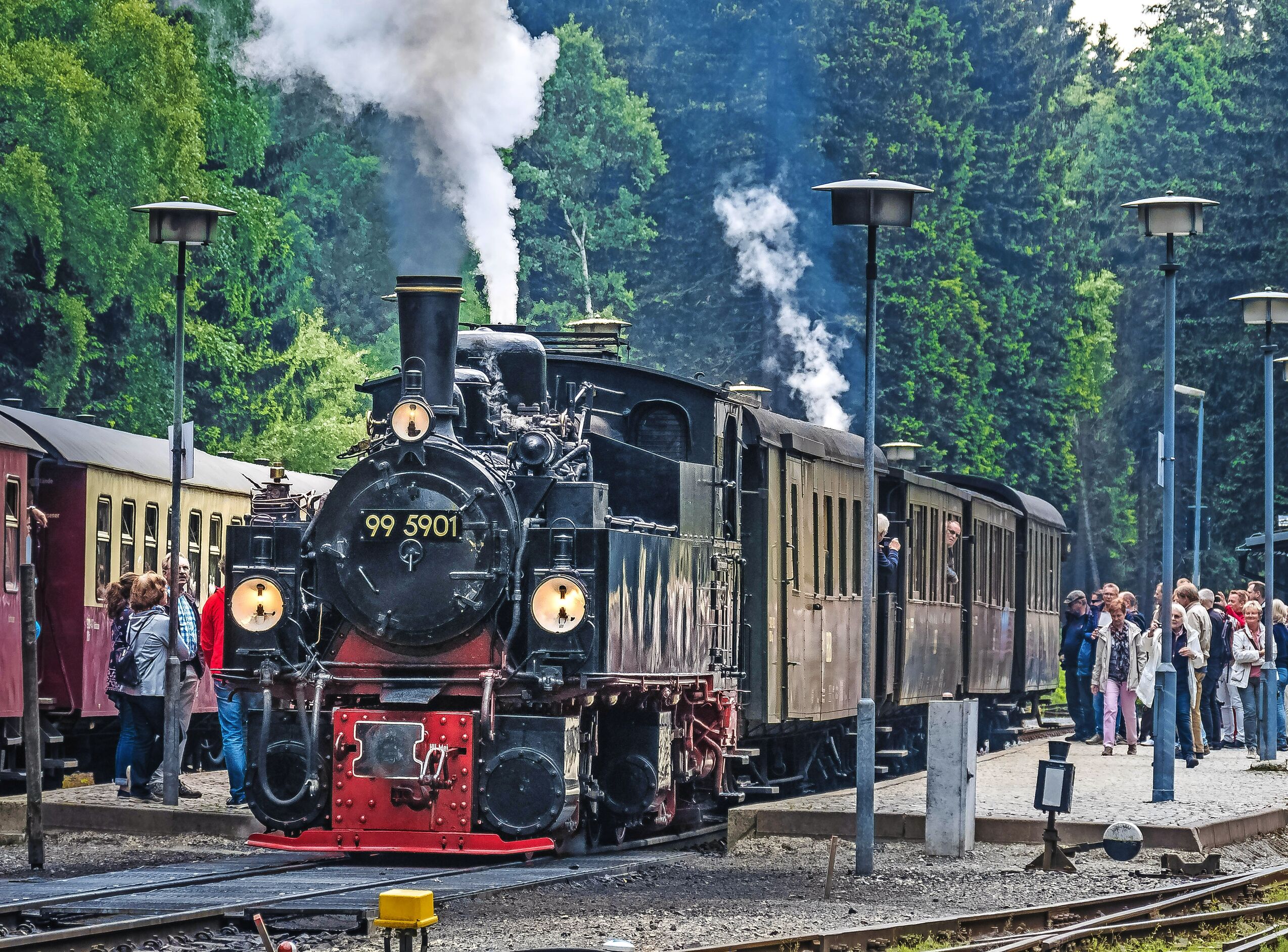 Wunderschöner Harz
