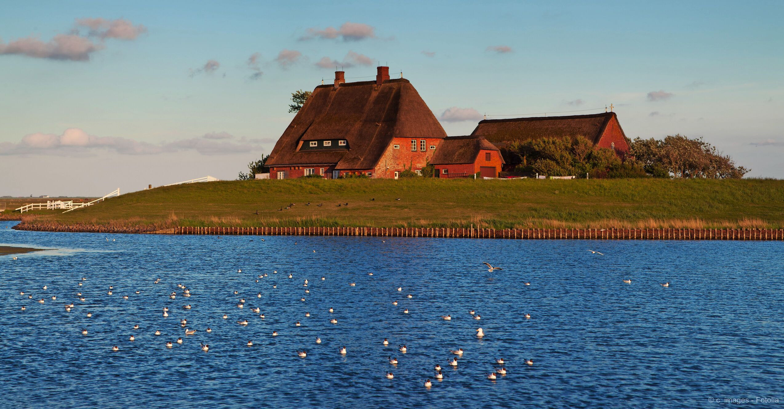 Büsum