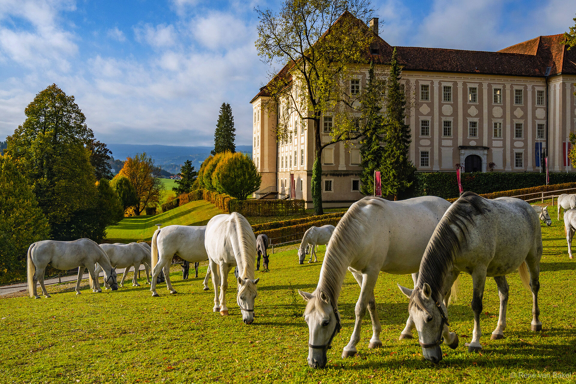 Styrian Cycling Delight - Culture & Nature