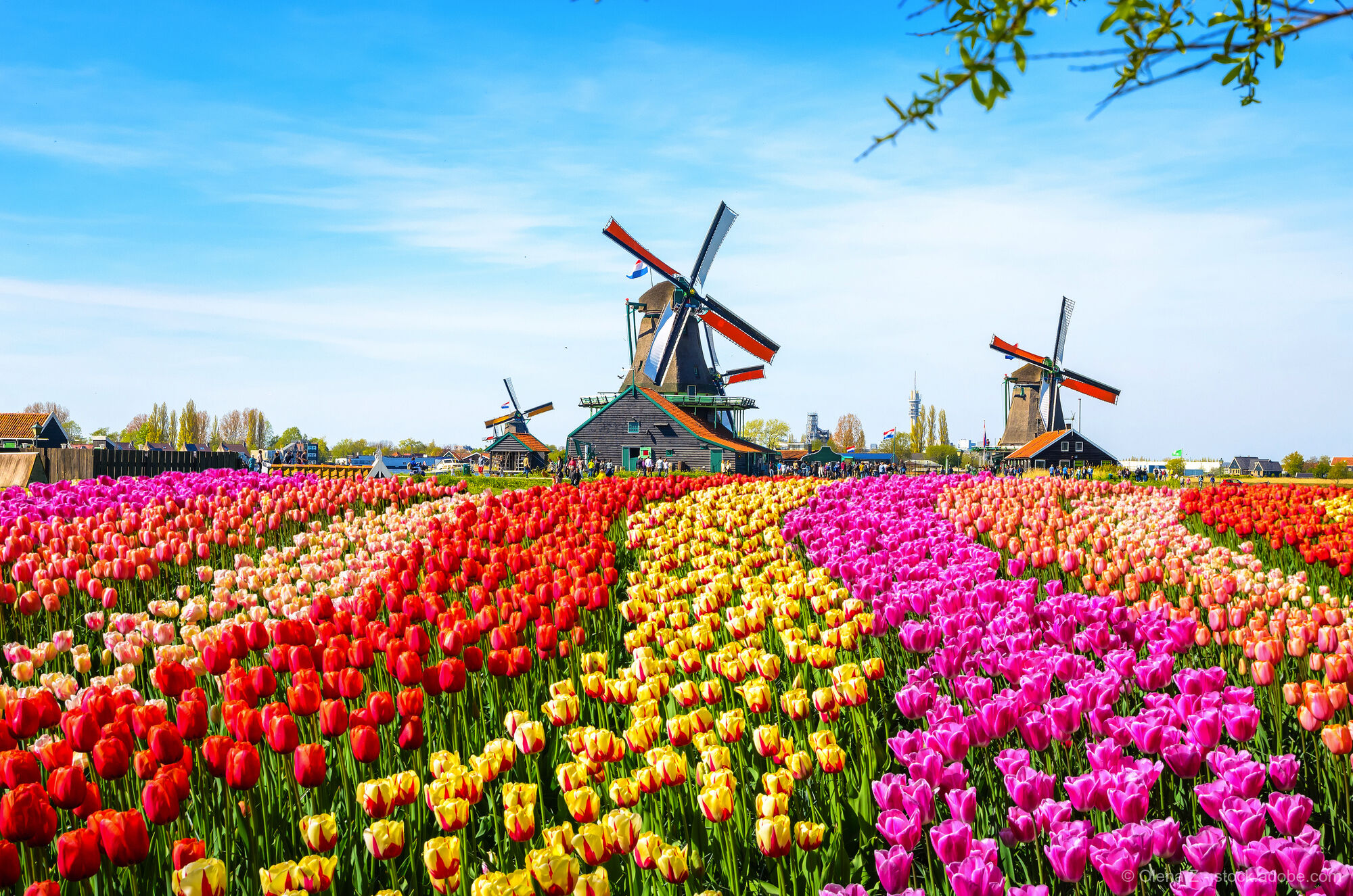 Holland, Flandern und Ardennen