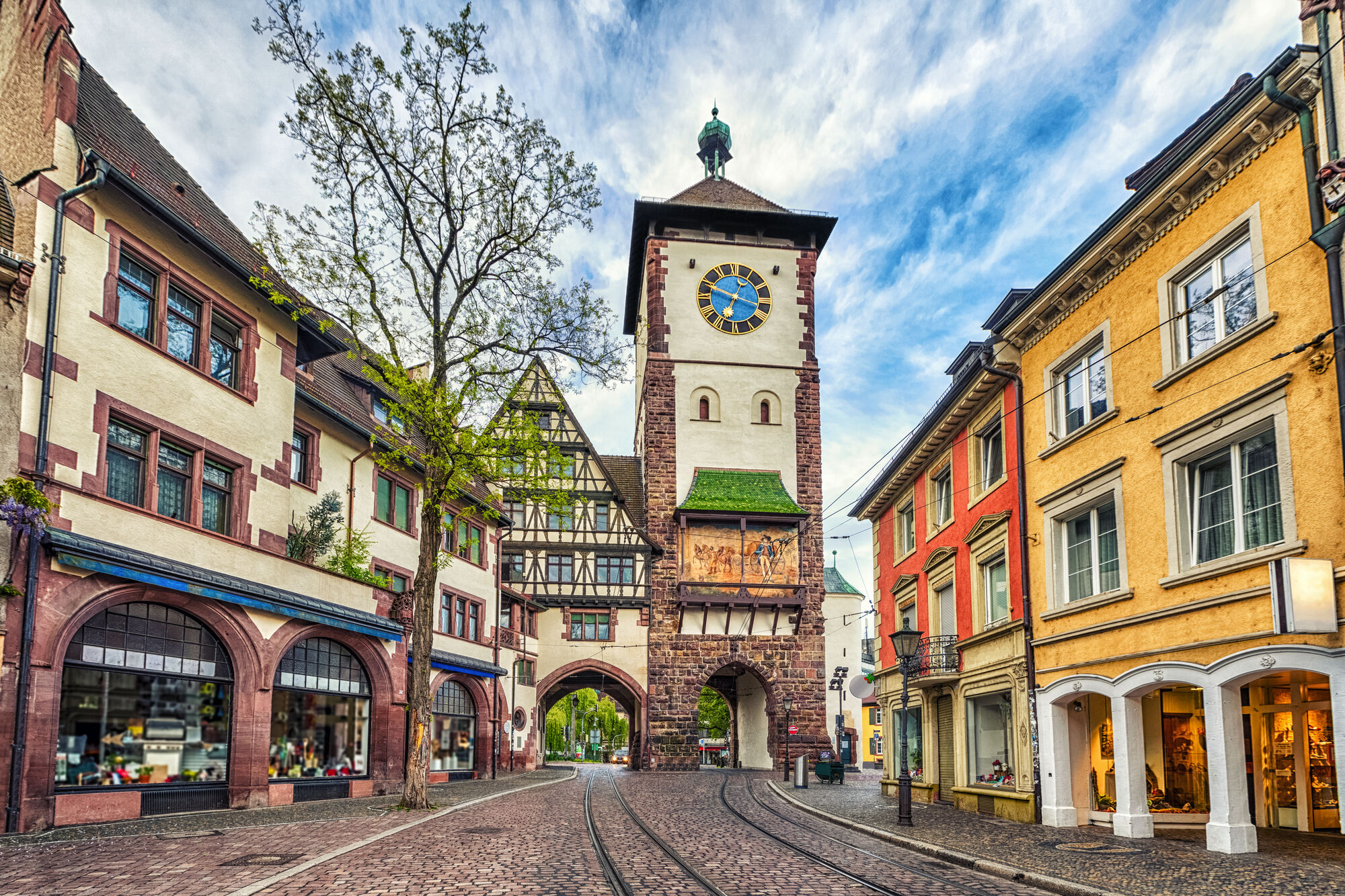 Alsace and Black Forest