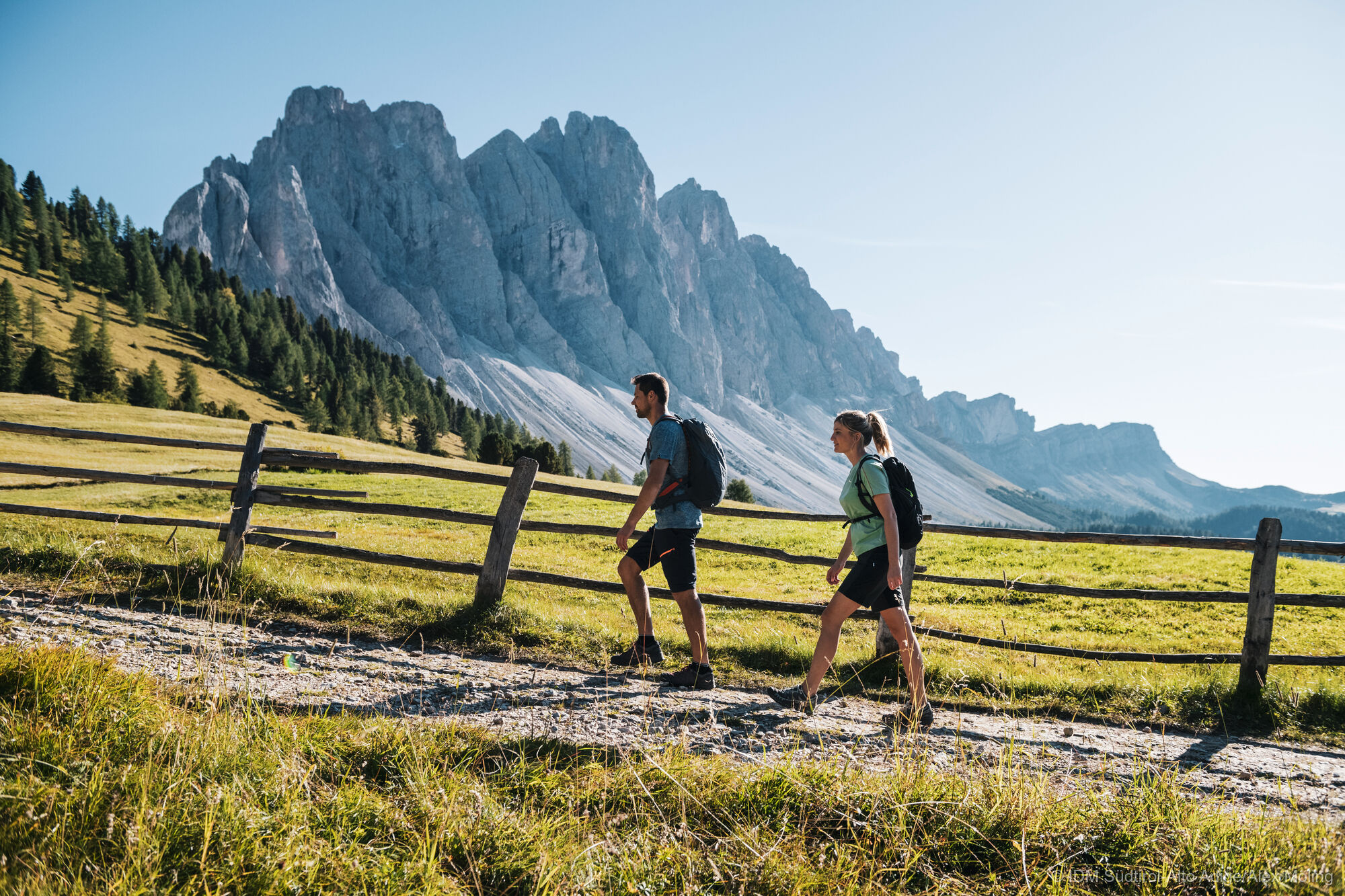To the Almblüte in the Dolomites