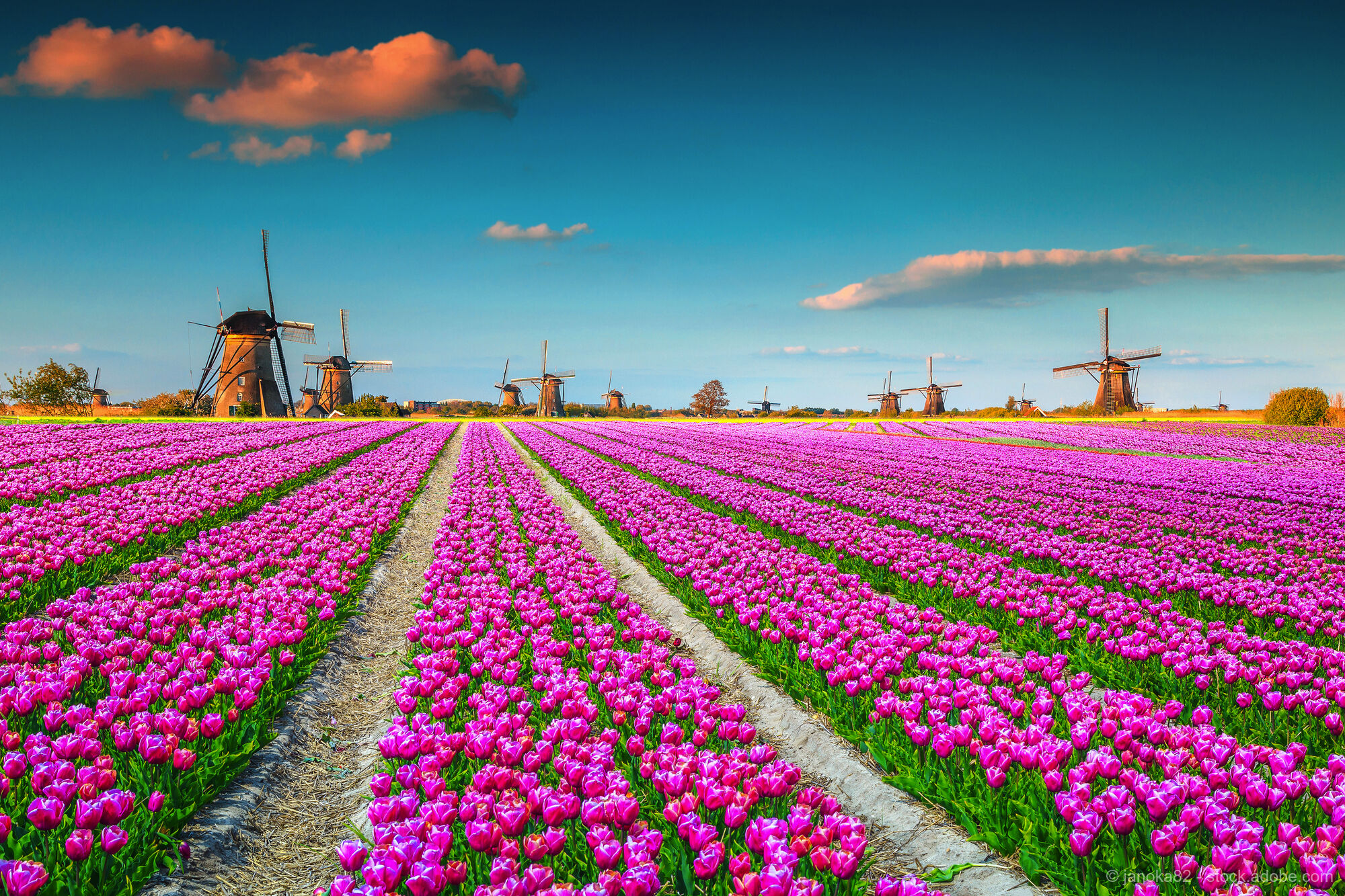 Holland, Flandern und Ardennen