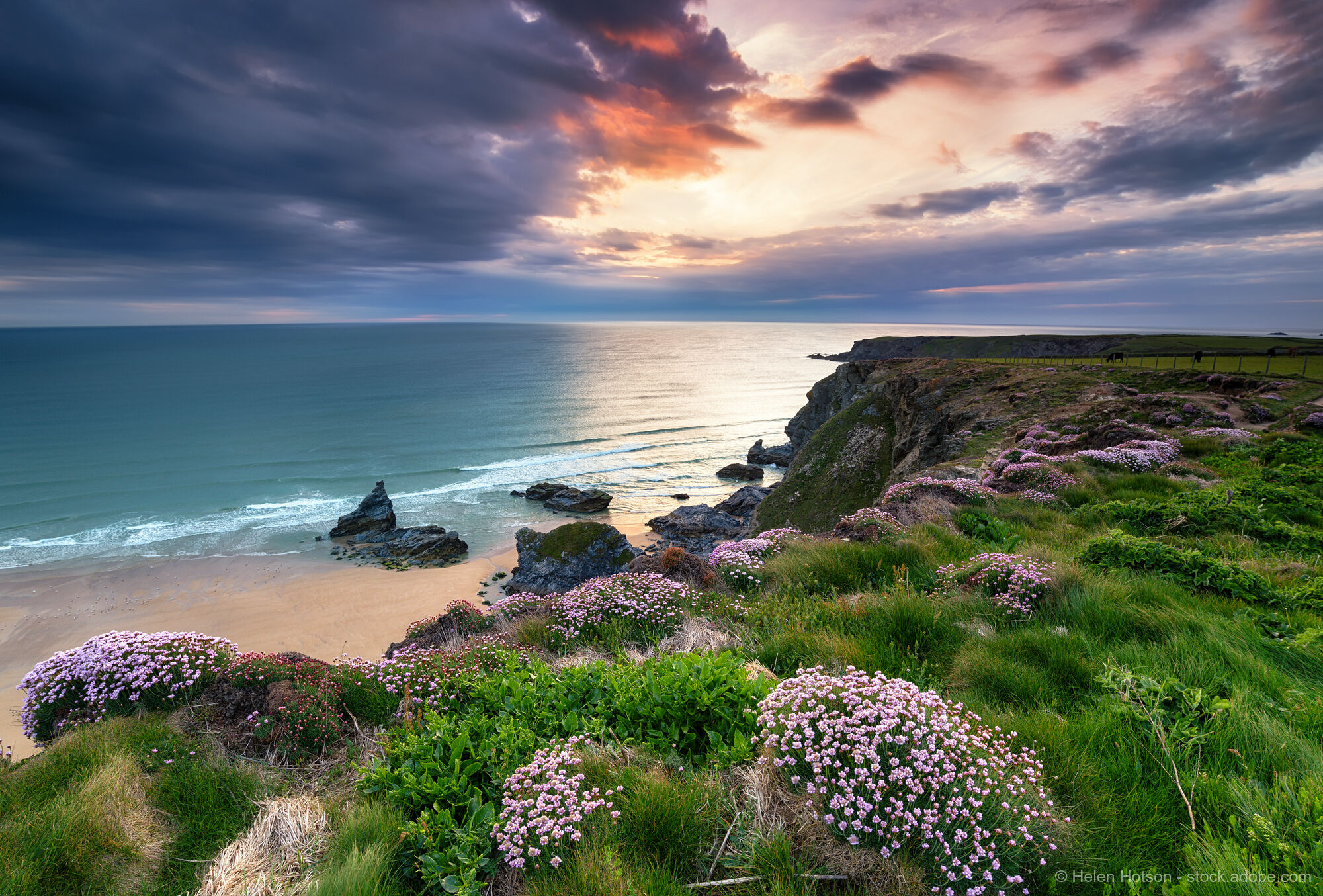 Cornwall Pur
