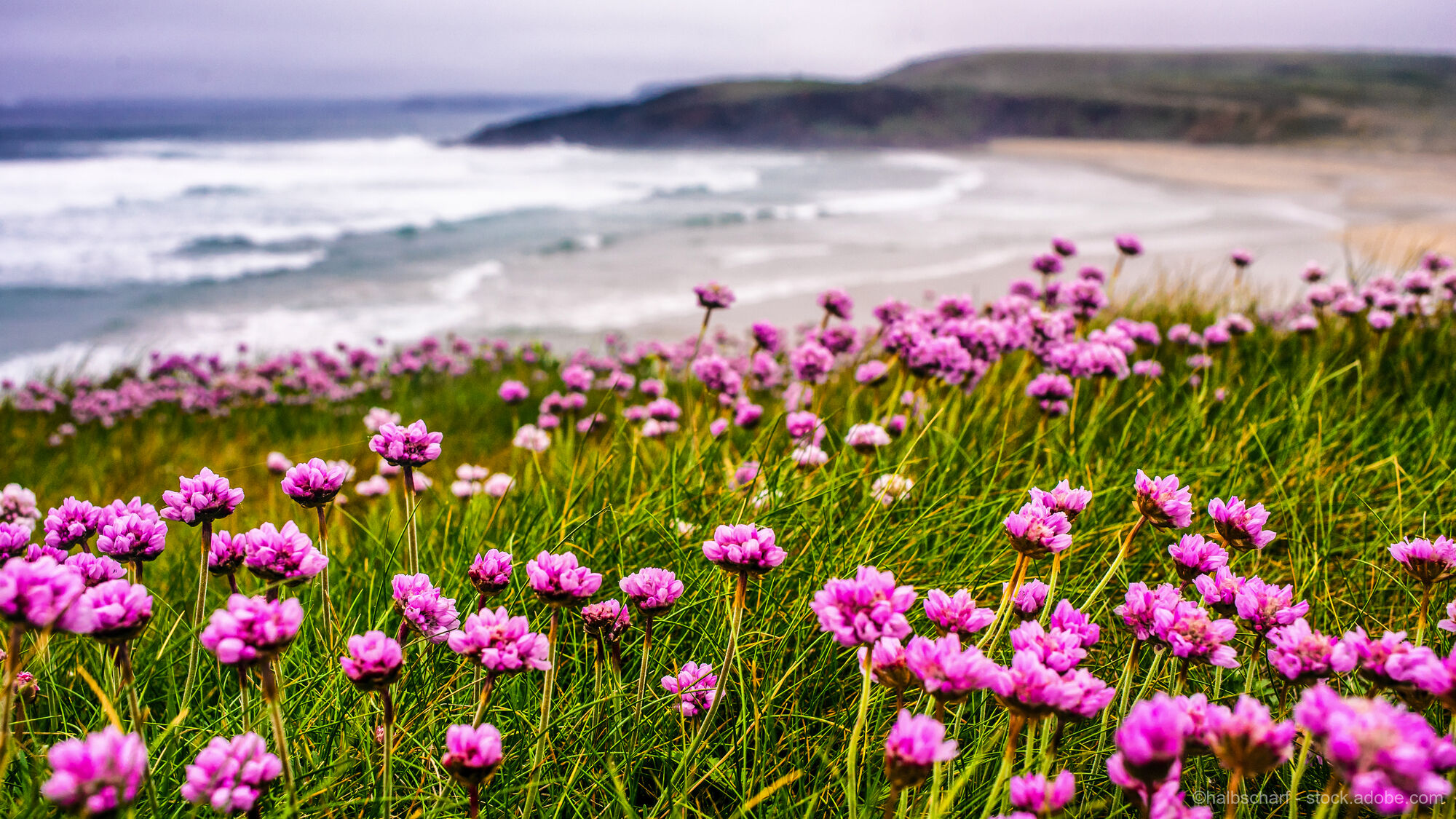 Unterwegs in der Bretagne