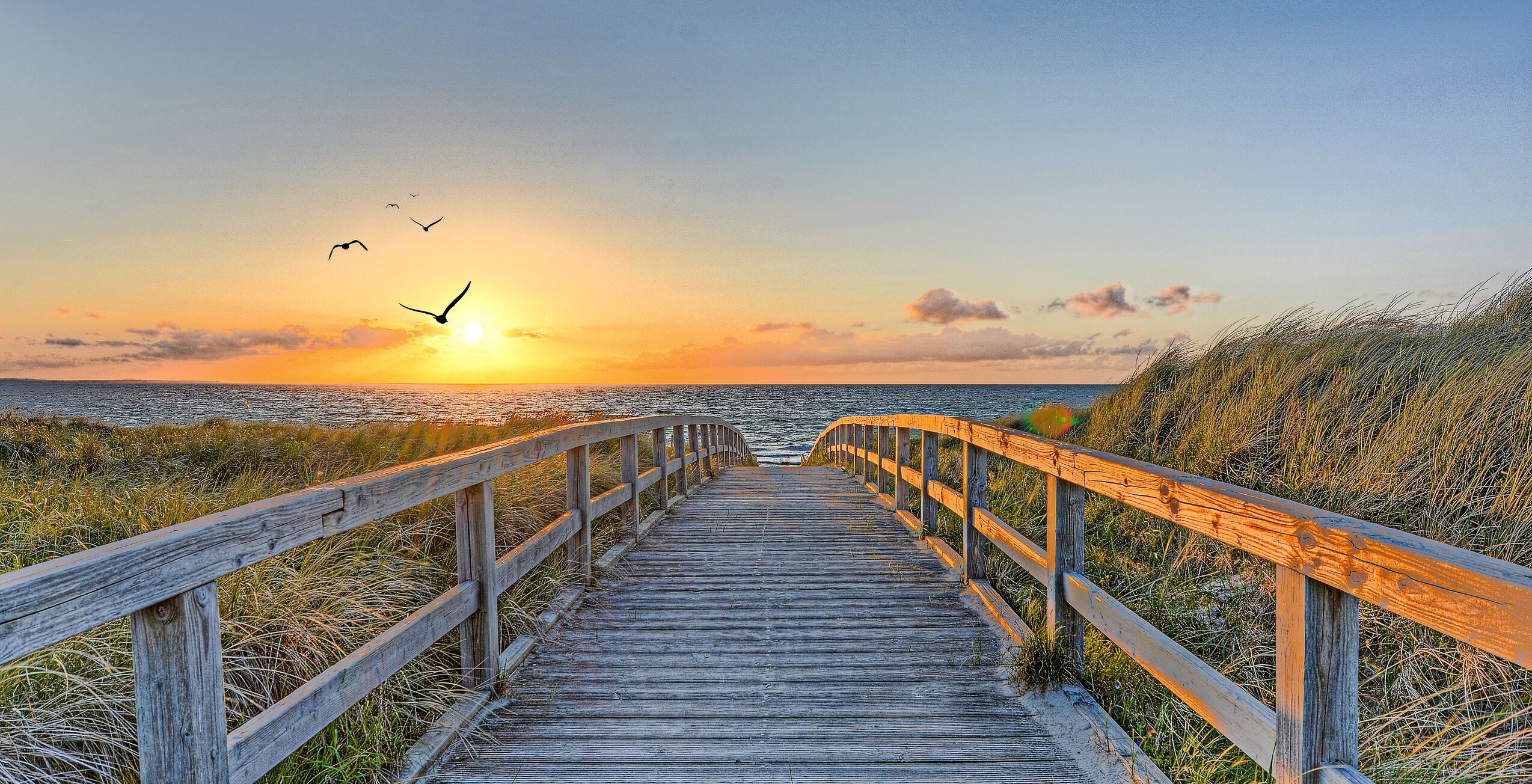 Island Magic at the North Sea